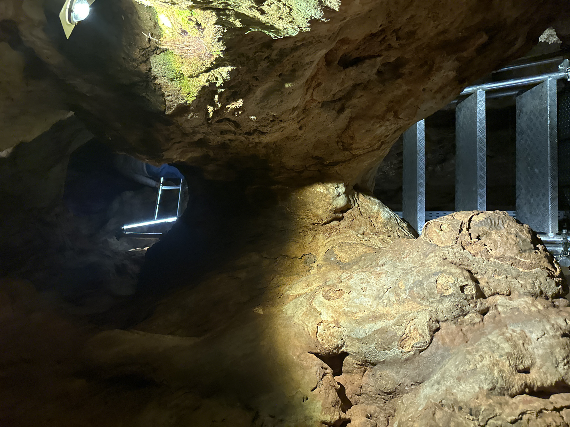 This image shows the interior of Devetashka Cave near Belo Pole, Bulgaria. The cave ceiling is low-hanging and covered with moss in some areas. To the right, a metal walkway with grating is visible. Further inside the cave, a ladder is faintly illuminated by a light source. The surrounding rock formations are textured and illuminated by artificial lighting, creating a dramatic contrast of light and shadow. The scene suggests a controlled access area within a natural cave environment.
