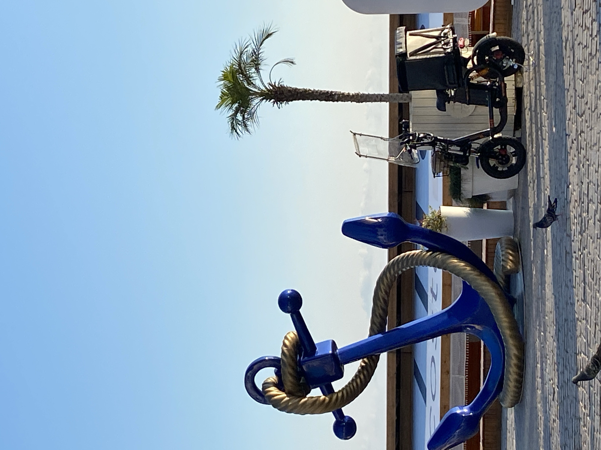 The image shows an outdoor scene with a bright blue sky. In the foreground, a large, blue anchor with golden rope detailing is prominently displayed. Behind the anchor, a slender palm tree with sparse fronds stands tall against the sky. To the right of the palm tree, a dark-colored electric scooter with a storage box is visible. The scooter has a reflective surface and sits on a textured, grey paved surface. Further to the right, part of a building or structure is visible, with some vertical wooden elements and what appears to be a reflective surface. In the far right of the image, the legs and tail of a cat are visible, and a bird is also present. The lighting suggests it is daytime, possibly late morning or early afternoon, with the sun casting shadows. The overall atmosphere is one of an outdoor public space, perhaps a promenade or park area. There is no visible text in the image.