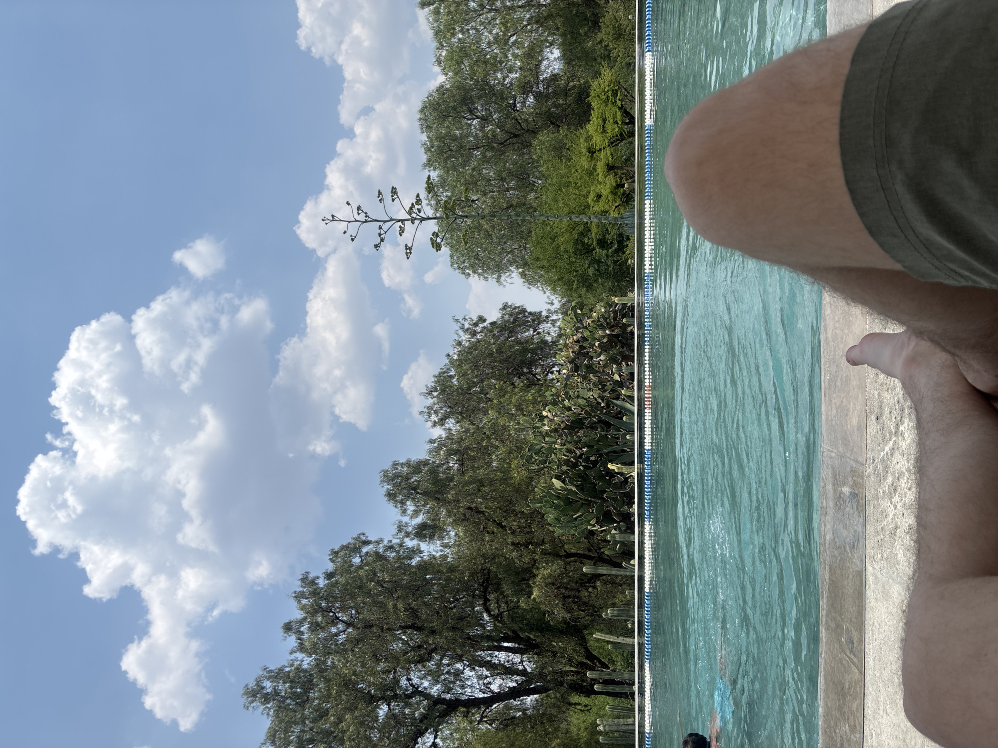A daytime scene near a swimming pool, potentially in Pueblo Nuevo de Jasso, Mexico, given the presence of the agave plant. The image shows an individual sitting at the edge of the pool with their legs visible. The pool has a blue and white lane divider. The background features lush green trees, some cacti, and a clear blue sky with fluffy white clouds. A tall agave plant is centrally located in the background. Another person appears to be swimming in the pool.