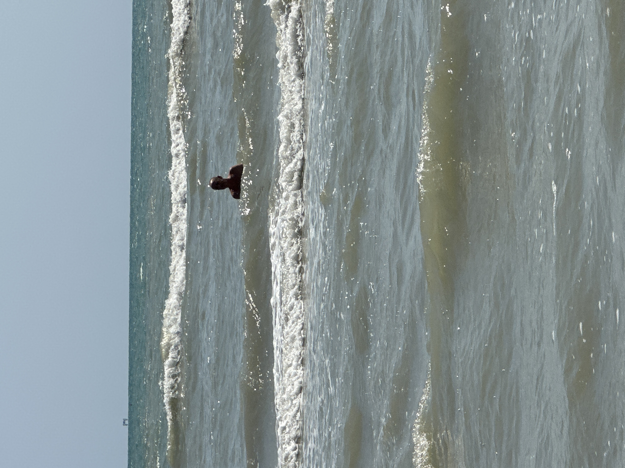 A man is swimming in the sea off the coast of Pineto, Italy. He is partially submerged in the water, with only his head and shoulders visible. The sea is choppy, with waves breaking around him. In the distance, a small oil rig can be seen on the horizon. The sky is clear and blue. The overall impression is one of a tranquil summer day at the beach.
