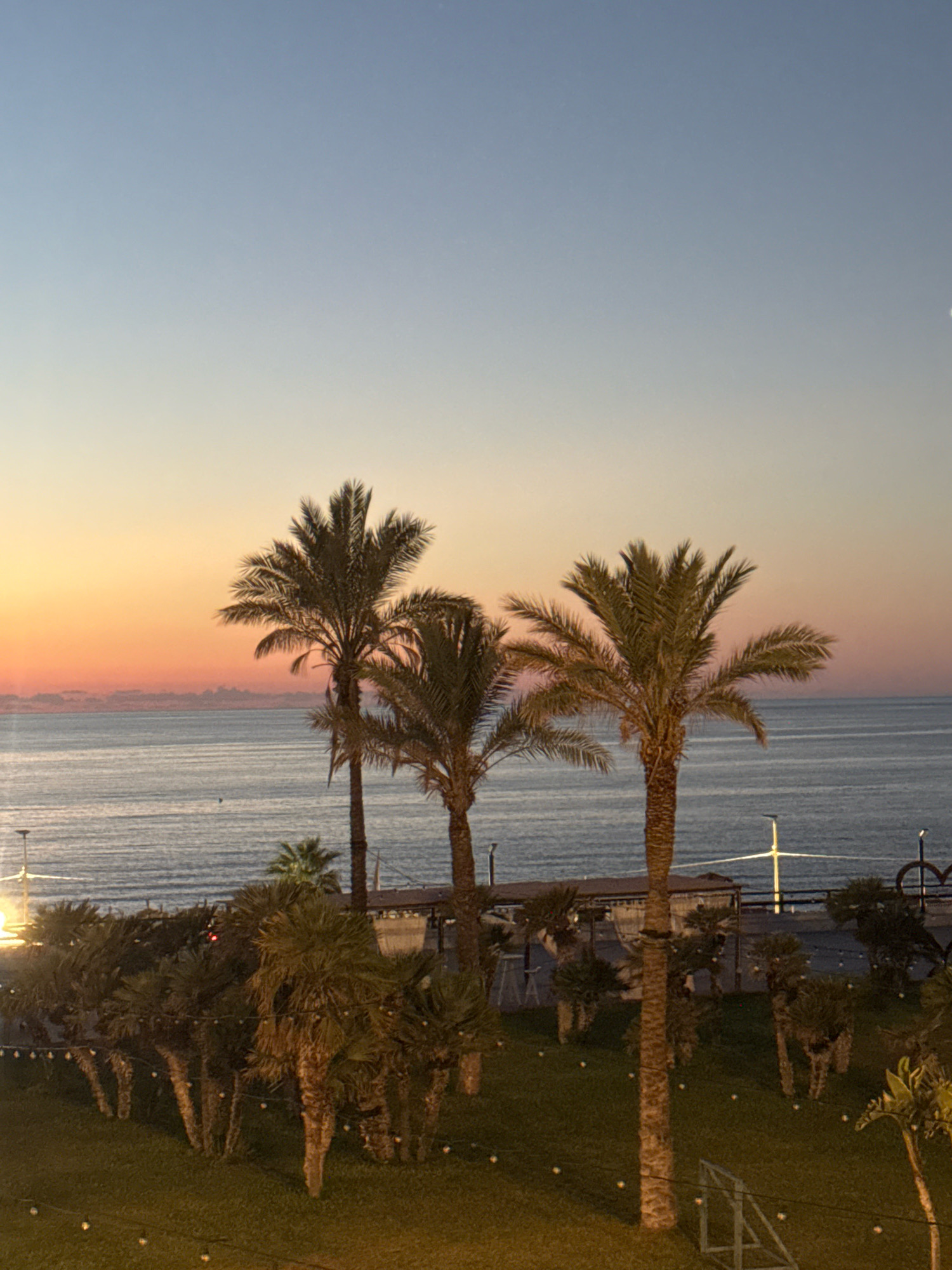 The image depicts a coastal scene at dusk, likely in Isola delle Femmine, Italy. In the foreground, a lush green lawn is dotted with small, white lights, and several palm trees of varying sizes stand tall. In the mid-ground, a row of smaller palm trees with thick, textured trunks are planted, some of which are illuminated by the ambient light. Beyond them, a dark, calm sea stretches to the horizon. The sky above transitions from a soft orange hue near the horizon, suggesting a recent sunset, to a clear, pale blue at the top of the frame. A distant, hazy coastline is visible across the water. The overall atmosphere is serene and tranquil.