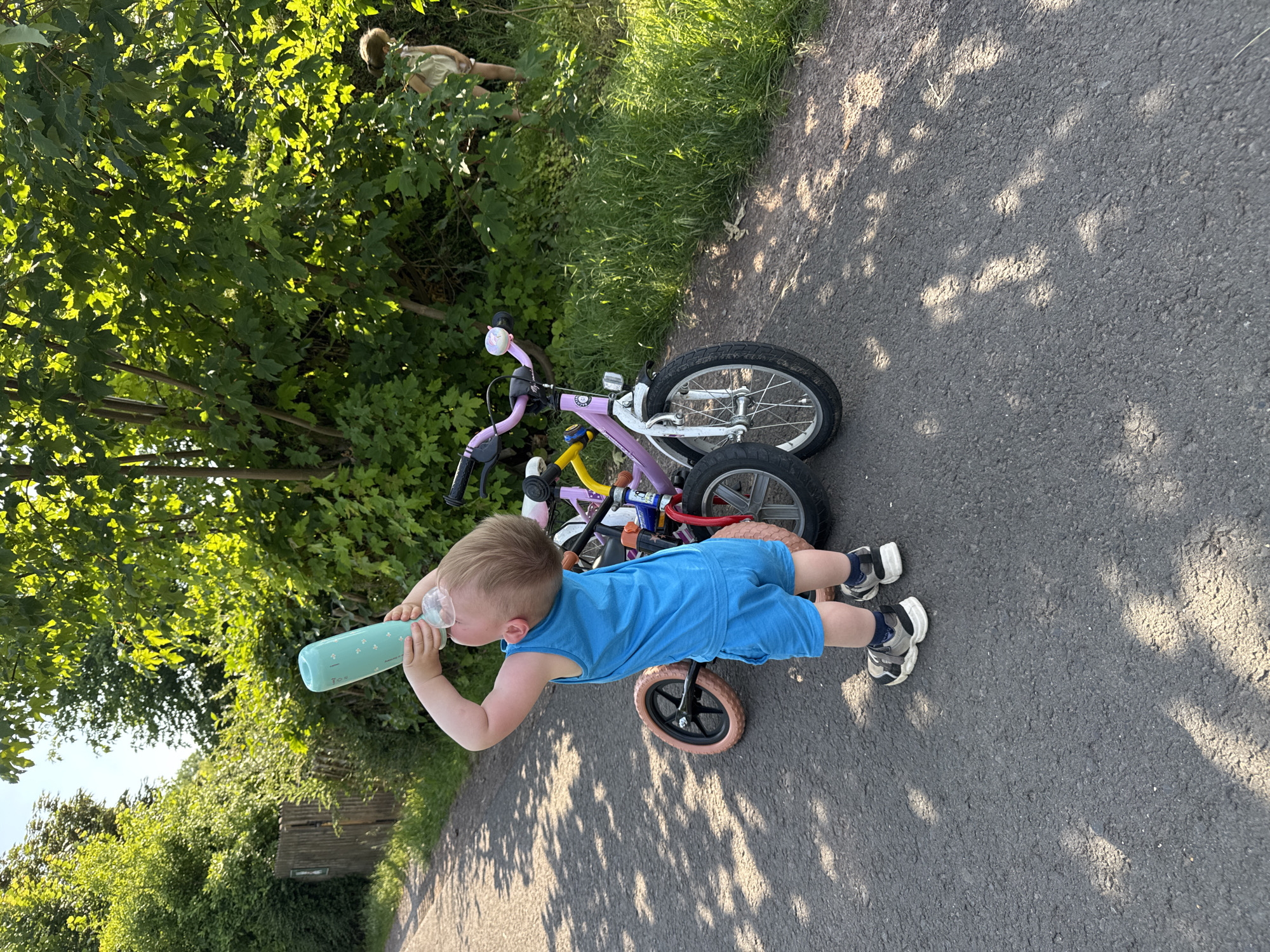 In an outdoor scene, a young child wearing a blue tank top and blue shorts stands on an asphalt path, drinking from a light blue bottle. The child is facing away from the viewer, with their head tilted back as they drink. Two bicycles are parked behind the child; one is a balance bike with a pink frame and black wheels, and the other is a larger bicycle with a purple frame and black wheels. The path is lined with lush green trees and grass, and a wooden fence is visible on the left side of the image. In the background, another person, a child, is partially visible amongst the trees. The sunlight casts shadows on the asphalt path.