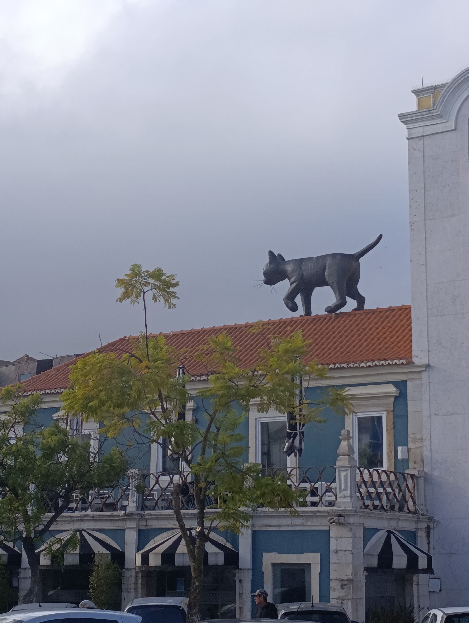 The image shows a statue of a black cat walking on the orange-tiled roof of a blue building. The building has white trim around its windows and a decorative railing on its balcony. Trees with green and yellow leaves are in front of the building. To the right of the blue building is a portion of a white building with a decorative top. The sky is overcast and gray. In the foreground, cars are parked on the street, and a person wearing a cap is standing near the bottom of the frame. This scene is located in the city of Setúbal, Portugal, at the square known as Largo da Misericórdia, where a bronze statue of a cat is a prominent landmark.