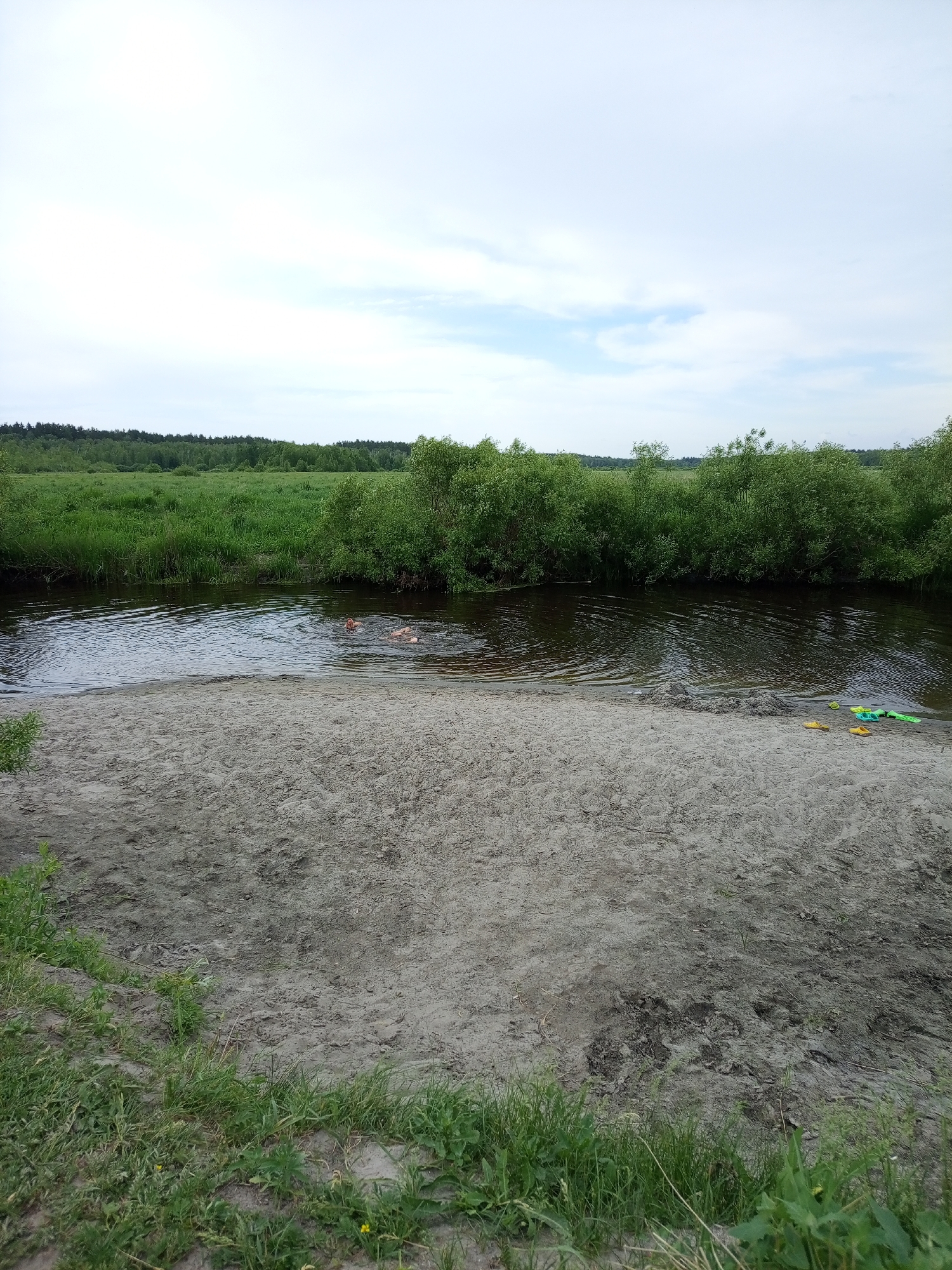 In Pankrushikha, Russia, a tranquil scene unfolds by a river. A sandy bank, littered with a few yellow flip-flops and green water toys, slopes down to the dark, calm water. Beyond the river, lush green grass and dense trees stretch towards a horizon of more distant trees under a pale, cloudy sky. In the water, two individuals are swimming, their heads visible above the surface as they enjoy a refreshing dip. The overall impression is one of peaceful rural leisure.
