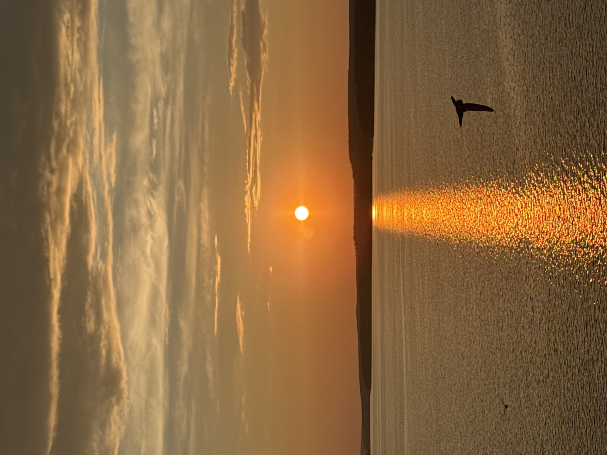 This is a photograph of a sunset over a body of water, likely a lake or river, in Votkinsk, Russia. The sun is low on the horizon, casting a warm orange glow across the sky and water. The sky is filled with streaky clouds, illuminated by the setting sun. A dark, silhouetted bird is in flight over the water, with its wings spread. The reflection of the sun creates a shimmering path of light across the water's surface. The horizon line is defined by a dark, wooded shoreline. The overall scene is one of natural beauty and tranquility.