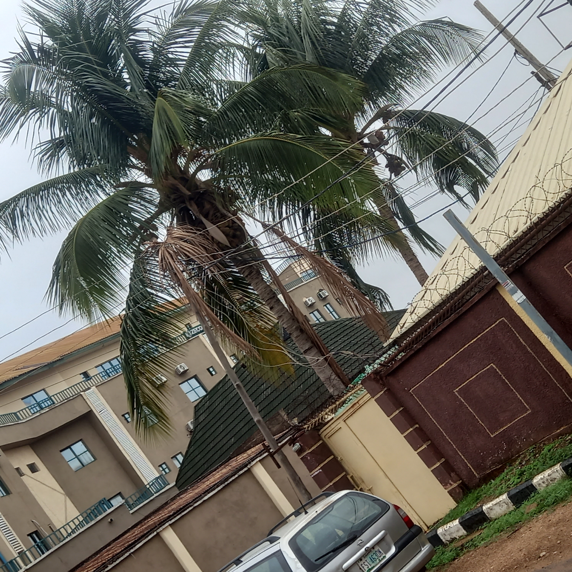 The image depicts a street scene in Barden Yana, Nigeria. The foreground is dominated by a silver station wagon parked next to a curb marked with black and white stripes. A brown and tan wall with barbed wire on top runs along the right side of the frame. Behind the wall is a building with a dark green roof.
In the center of the image, a tall coconut palm tree with both green and dead fronds rises, obscuring parts of buildings in the background. These background buildings are light brown with blue-trimmed balconies and numerous windows, some with air conditioning units. Power lines crisscross the sky above the buildings and the palm tree. The sky is overcast, suggesting a cloudy day.