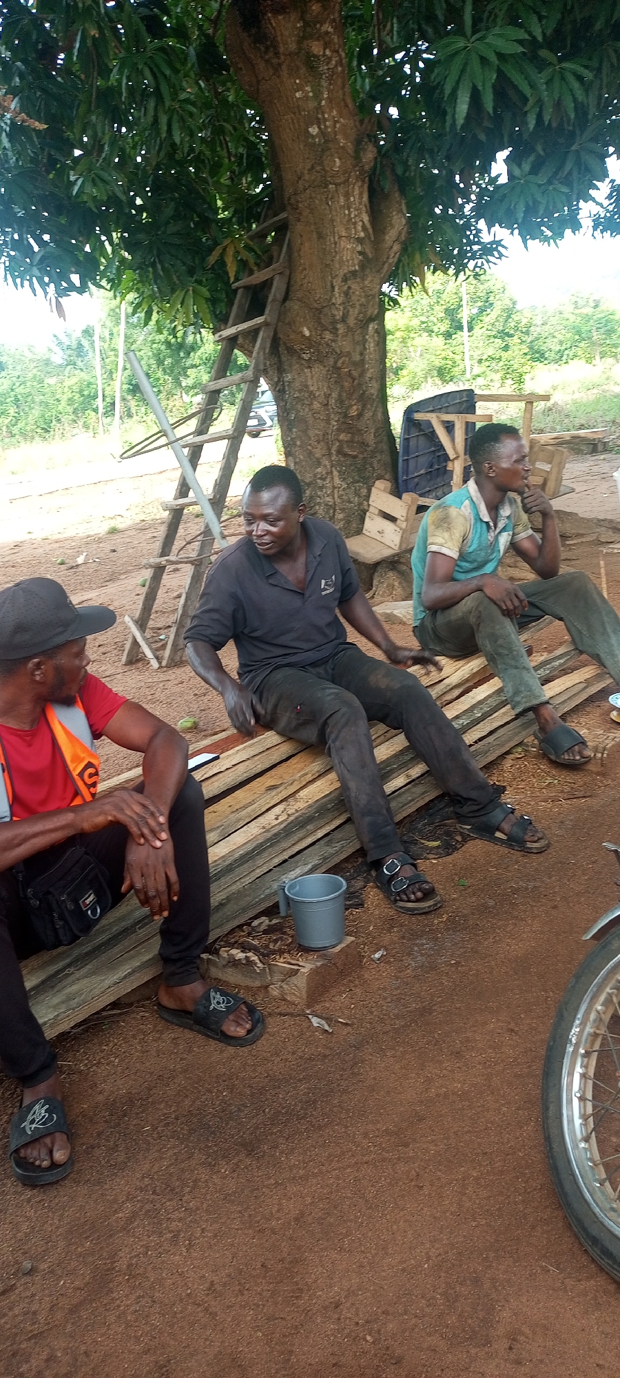 The image depicts three adult men resting outdoors under the shade of a large tree with green leaves, possibly a mango tree, in what appears to be a rural or semi-urban environment. They are seated on a stack of wooden planks that serves as a makeshift bench. The ground is reddish-brown dirt.
In the center, a man wearing a dark polo shirt, dirty dark pants, and black buckled sandals is seen smiling and conversing with the man to his left. To his left, another man, dressed in a black cap, a red t-shirt under an orange safety vest, black pants, and black slides with a "AB" or similar logo, looks towards the center man, seemingly engaged in the discussion. On the right, a third man in a light blue and yellow/beige t-shirt, dirty dark pants, and dark sandals is looking to the right with a pensive expression.
Behind the men, a wooden ladder leans against the thick trunk of the tree. In the background, there are other wooden structures, possibly unfinished furniture or pallets, and lush green vegetation indicating a natural setting. A grey mug is placed on the ground near the feet of the central man. A portion of a silver motorcycle or bicycle wheel is visible in the bottom right corner of the frame. The scene suggests a casual break during daytime, with the men appearing relaxed amidst their work or daily activities, possibly related to carpentry or construction given the surrounding lumber.