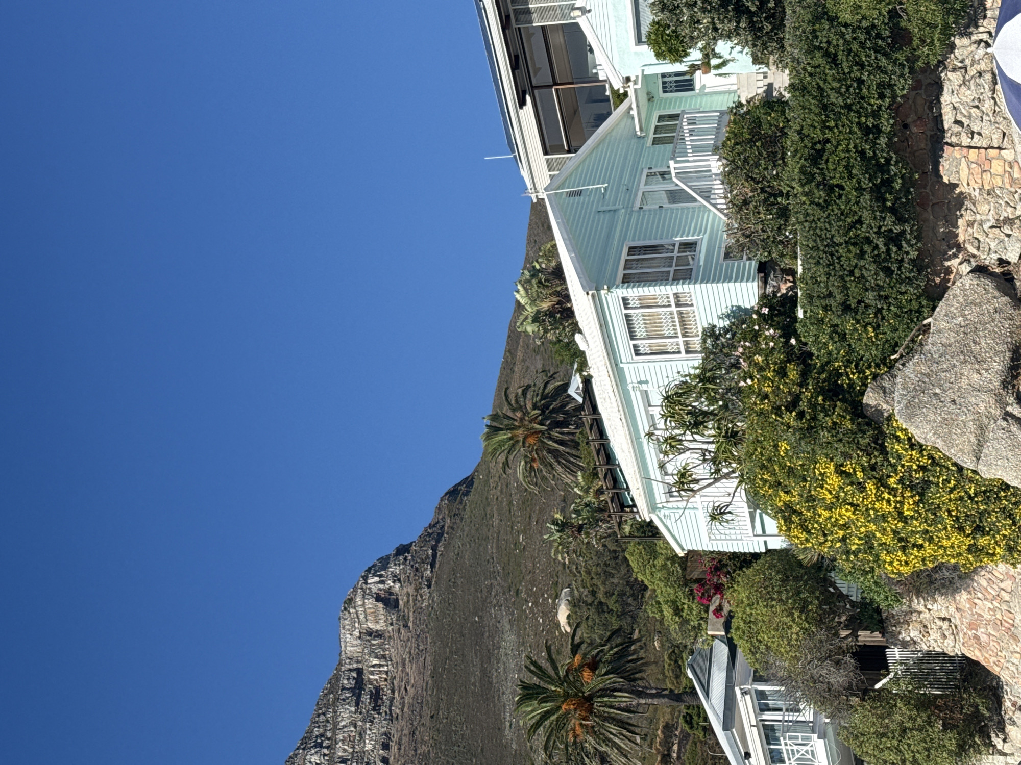 The image presents a seaside scene in Cape Town, South Africa, featuring a light blue multi-story house nestled amidst lush vegetation and a rocky terrain, with Table Mountain forming a dramatic backdrop against a clear blue sky. Palm trees are visible, adding to the coastal ambiance. The house is positioned on a slope, with various levels and white railings. The surrounding landscape includes flowering bushes, dense greenery, and stone walls. The overall impression is one of affluent residential architecture integrated into the natural coastal environment.
