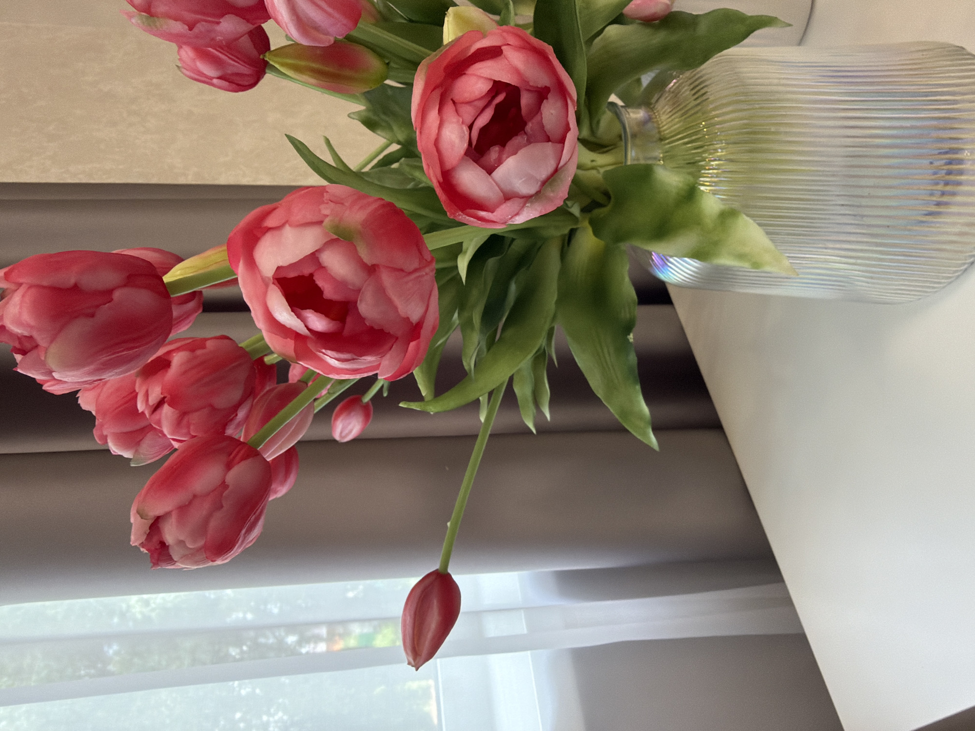 This is a close-up, overhead shot of a bouquet of pink tulips in a clear, ribbed glass vase. The tulips are fully bloomed and appear lush and vibrant, with some still in bud form. Green leaves and stems are visible throughout the arrangement. The vase is partially filled with water, and reflections can be seen on its surface. The background consists of a neutral-toned wall or curtain, with a sheer white window covering visible at the bottom of the frame. The lighting suggests daytime, possibly indoors, with the light filtering in from the window. The focus is sharp on the tulips and vase, with the background slightly blurred. There is no visible text in the image.