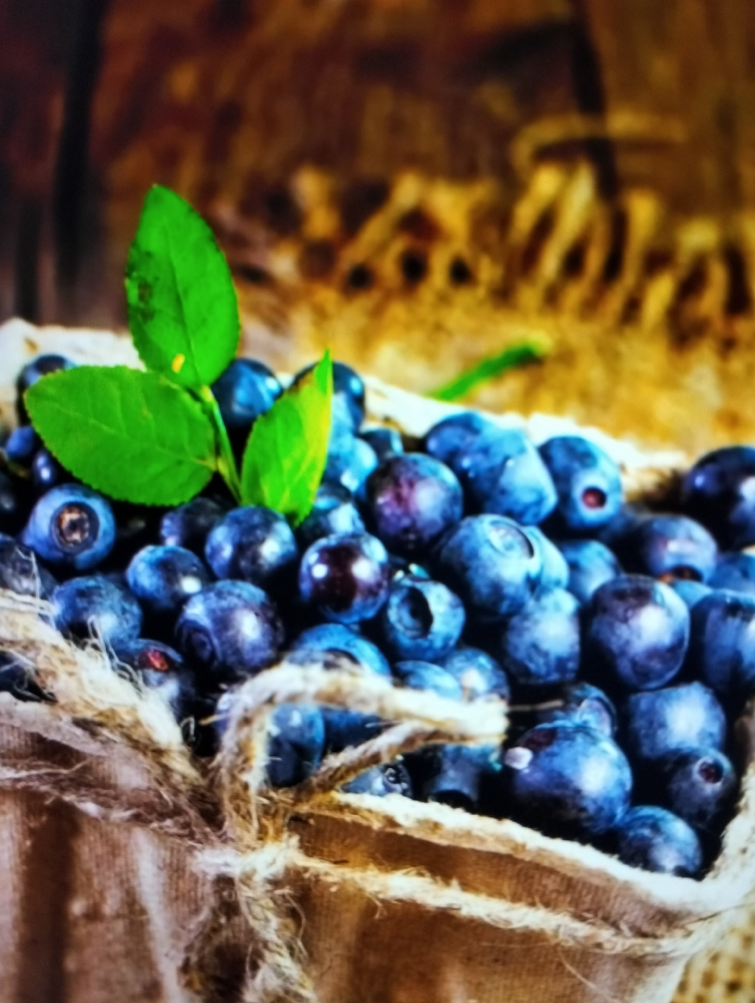 A close-up shot shows a small, burlap-lined box filled with ripe blueberries. Two vibrant green leaves sprout from the center of the berry pile, adding a touch of freshness. The background is a blurred abstract of warm, earthy tones, suggesting a rustic or natural setting. The image does not contain any information about the city of Payagaboh, Indonesia.