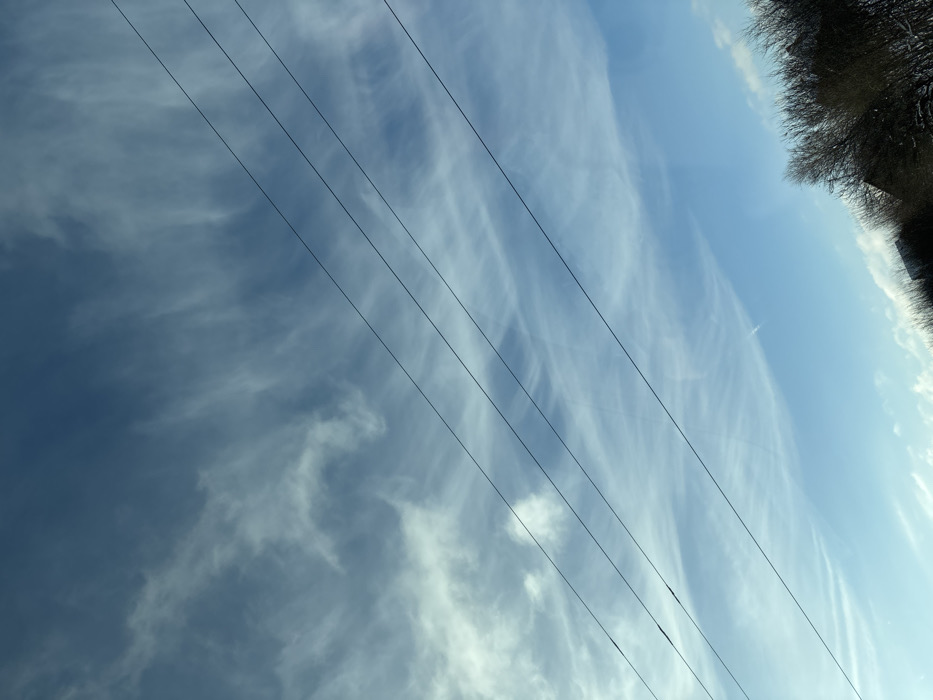 A tilted view of a sky dominated by wispy, feathery cirrus clouds in shades of blue and white. Dark power lines diagonally traverse the image, creating a pattern against the cloudscape. A patch of dark foliage from trees or bushes appears in the upper right corner. The sky transitions from darker blue on the left to lighter, sun-touched blue on the right side.