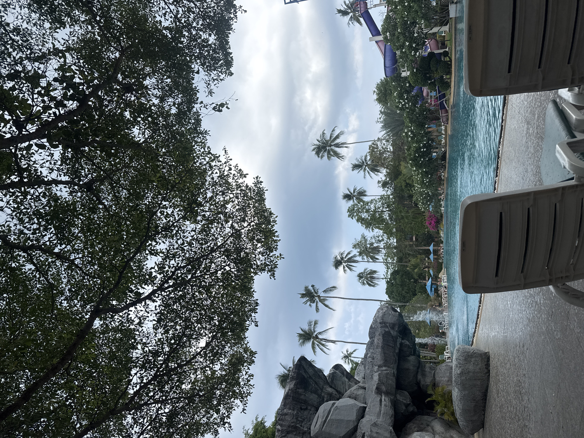 This image captures a vibrant, tropical outdoor scene, likely at a resort or hotel in Patong, Thailand, viewed from a low angle looking upwards. The left side of the frame is dominated by the dense, dark green foliage and branches of a large, leafy tree, silhouetted against the sky.
The central and upper portions of the image feature a bright, light blue sky with soft, streaky white clouds, suggesting a partly cloudy daytime. Scattered across the mid-ground are several tall palm trees, their fronds clearly visible against the sky. Below these, a prominent formation of large, grey rocks and boulders adds a natural, rugged element, with some smaller green plants growing around their base.
On the right side, a sparkling blue swimming pool stretches across, its surface gently rippled. The pool deck, appearing wet, leads to two white plastic lounge chairs visible in the foreground, suggesting a relaxing poolside area. Beyond the pool, the landscape is lush with more tropical trees and bushes adorned with white and purple flowers. In the far background, sections of a large, curving water slide, colored purple and blue, are visible, contributing to the recreational atmosphere.
No people are present in the scene. The lighting indicates it is daytime, possibly under slightly overcast conditions. There is no visible text. The overall ambiance is one of a tranquil and inviting tropical vacation spot.