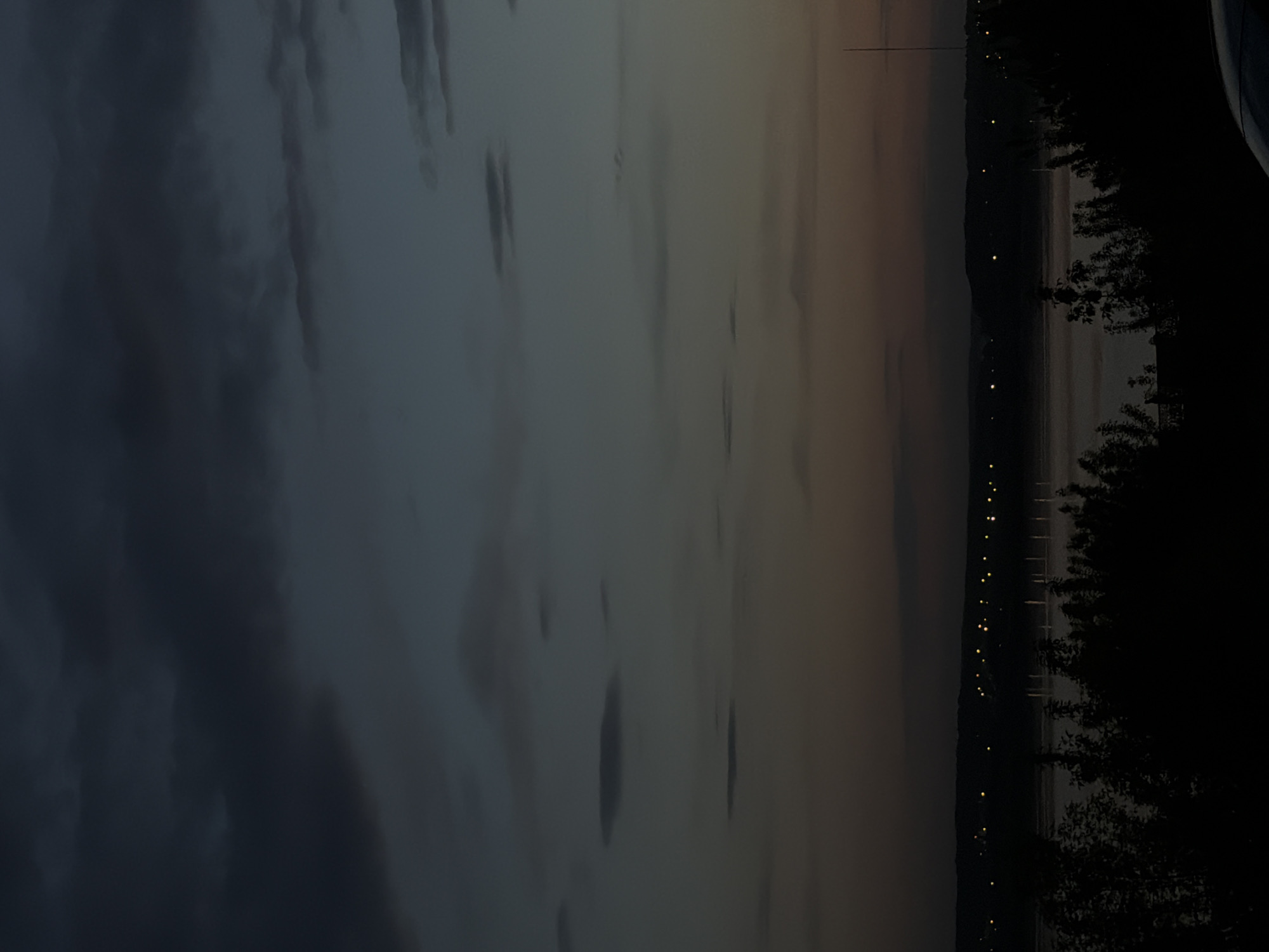 The image captures a dusk scene at Izhevsk Reservoir in Izhevsk, Russia. The sky is mostly overcast, with clouds dominating the left side of the frame and a faint gradient of orange light appearing towards the right. A body of water reflects the sky, creating a muted and somber tone. On the right side, a dark silhouette of trees and possibly vegetation borders the water's edge. Scattered points of light are visible along the horizon, suggesting a town or cityscape in the distance. A thin, vertical structure, possibly a communication tower, is seen rising above the horizon.