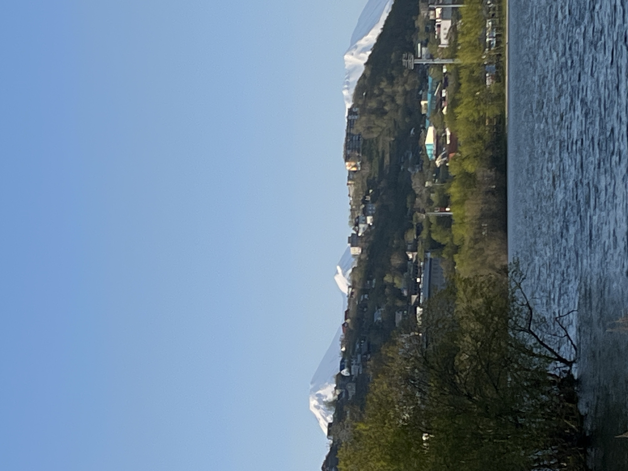 The image depicts a panoramic view of a landscape identified as Petropavlovsk-Kamchatsky, Russia. The scene is composed of three distinct horizontal layers: a body of water in the foreground, a city-covered hillside in the midground, and snow-capped mountains against a clear sky in the background.
The bottom portion of the image features a dark blue body of water, likely a lake or bay, exhibiting small ripples across its surface, indicative of minor water movement. On the far left, a portion of a deciduous tree with green foliage extends from the bank, with several bare branches partially submerged in the water.
Above the water, a sloping hillside rises, densely covered with a mix of green trees and numerous buildings. These structures, primarily residential, are dispersed across the slopes, exhibiting various architectural styles and colors, with some appearing to be multi-story. Toward the right side of the midground, closer to the water's edge, several larger structures are visible, some with lighter colored roofs, alongside a prominent utility pole or tower with cross-arms.
Dominating the background and extending into the upper portion of the frame are three large, snow-capped mountains. These are prominent volcanic peaks characteristic of the Kamchatka Peninsula. The leftmost mountain is the largest and most sharply defined, displaying significant snow coverage. Two smaller, similarly snow-covered peaks are visible to its right. The entire scene is bathed under a clear, bright blue sky, which occupies approximately the top half of the image and contains no visible clouds. The lighting suggests a bright day, with strong illumination on the snow-covered peaks. No human figures are present in the image.