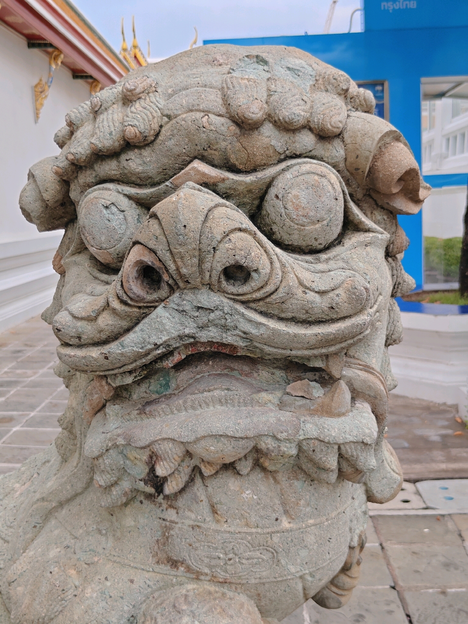 This is a close-up, eye-level shot of a weathered stone statue of a mythical creature, likely a guardian lion or chinthe, commonly found at entrances to temples in Bangkok, Thailand. The statue is predominantly a greenish-gray, indicating age and exposure to the elements, with patches of lighter stone and some darker discoloration around the mouth and eyes. Its face is highly detailed, featuring large, bulging eyes, a prominent snout with flaring nostrils, and an open mouth revealing sharp, worn teeth and a rough-textured interior. The creature's mane is depicted in a stylized, layered fashion around its head.
The statue is positioned outdoors on a paved ground surface made of square tiles. In the background, to the left, is a portion of a building with white walls and a distinctive Thai architectural roofline, characterized by its multi-tiered, upward-curving gables adorned with gold trim. To the right of the statue, a bright blue structure with some white text is visible, possibly part of a modern building or signage, and further in the distance, the blurred outlines of trees and a white building can be seen. The overall atmosphere suggests a location of cultural or religious significance within Bangkok, likely a temple complex.