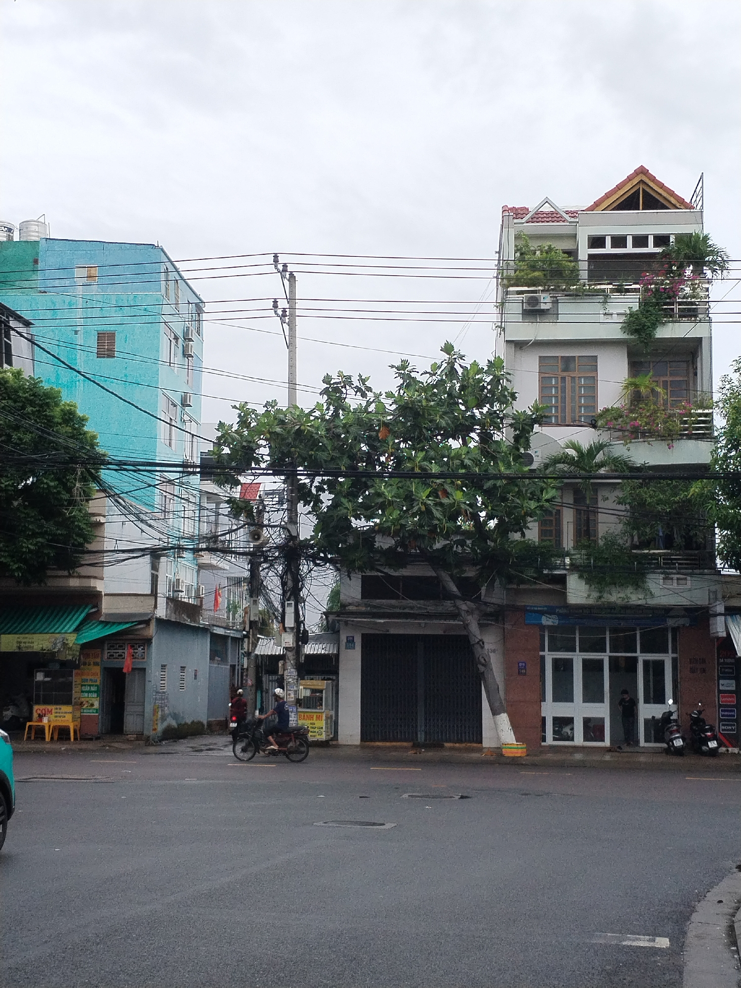 An urban street scene in Nha Trang Ward, Vietnam, is captured on an overcast day, showing a mix of residential and commercial buildings under a muted sky. Numerous tangled overhead power and communication lines crisscross the frame, attached to concrete utility poles, forming a dense network.
On the left, a tall, turquoise-painted building with several windows and visible air conditioning units stands, topped with water tanks. Below it, a ground-level shop with a green striped awning displays yellow plastic chairs and a table. Text on a sign is partially visible, including "COM" (rice).
In the center, a large, leafy tree with a white-painted base grows, its branches extending across the street, partially obscuring the view of the buildings behind.
To the right, a multi-story building features a light-colored facade, brown-framed windows, and balconies adorned with lush potted plants and flowering vines. The top floor has distinctive red-tiled gabled roofs. The ground floor houses a commercial space with a large roll-down metal door and a white-framed glass storefront.
Activity on the street includes a person on a red motorcycle wearing a white helmet, driving from left to right across the wet asphalt road. Another person in a dark shirt stands outside the glass storefront on the right. Two motorcycles are parked near this storefront. A vertical sign displays brand names such as "Lenovo," "Samsung," and "Sony." An address number "338" and "909 110" are also visible near the storefront. Further down the street, what appears to be a "BANH MI" cart can be seen. The general atmosphere is of a bustling, lived-in urban environment.