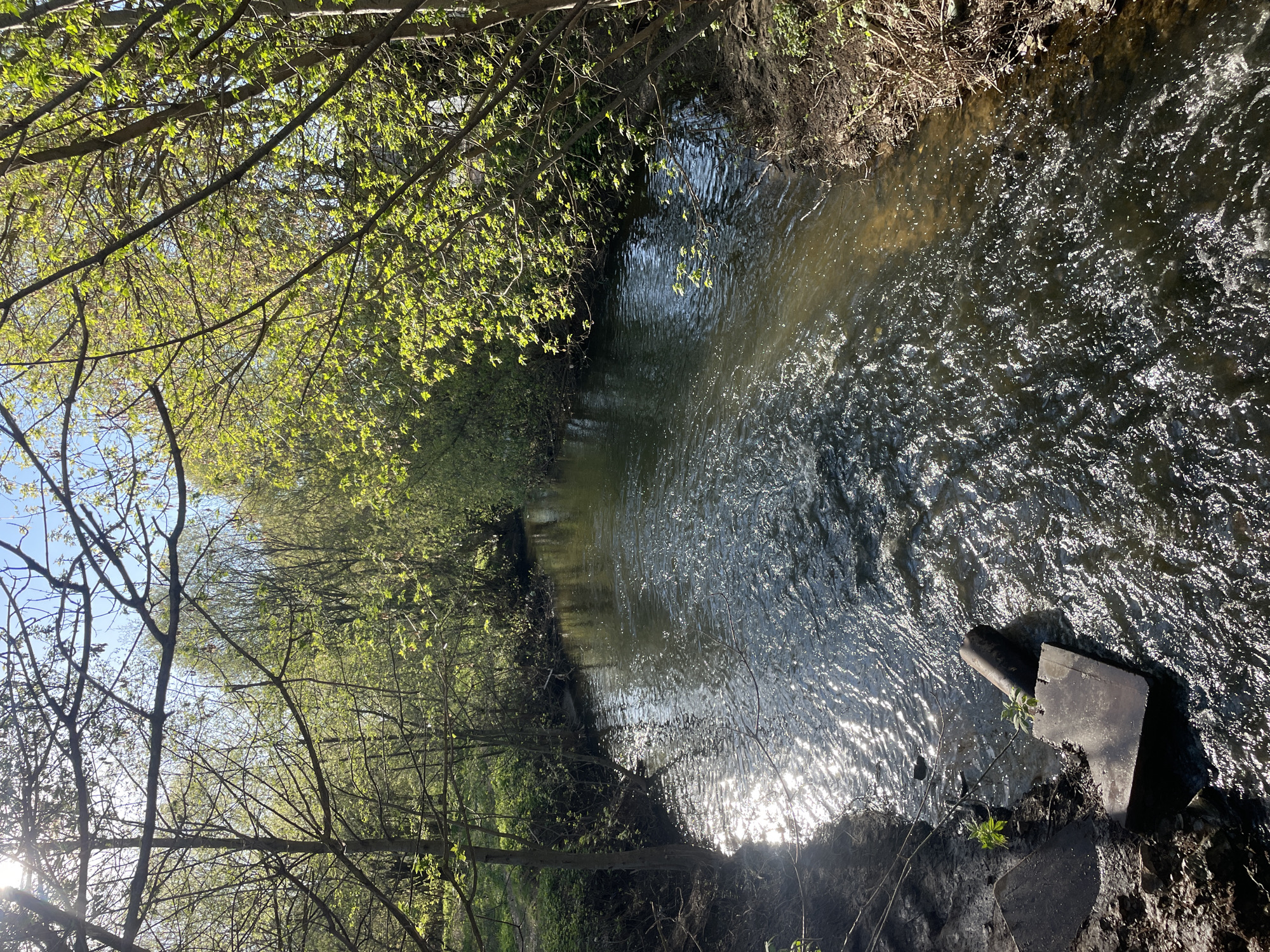 The image depicts a narrow river or stream flowing through a natural setting in Kazan, Russia. The water reflects sunlight. The riverbanks are lined with trees, some of which have budding leaves, suggesting springtime. A piece of metallic debris is visible on the right riverbank.