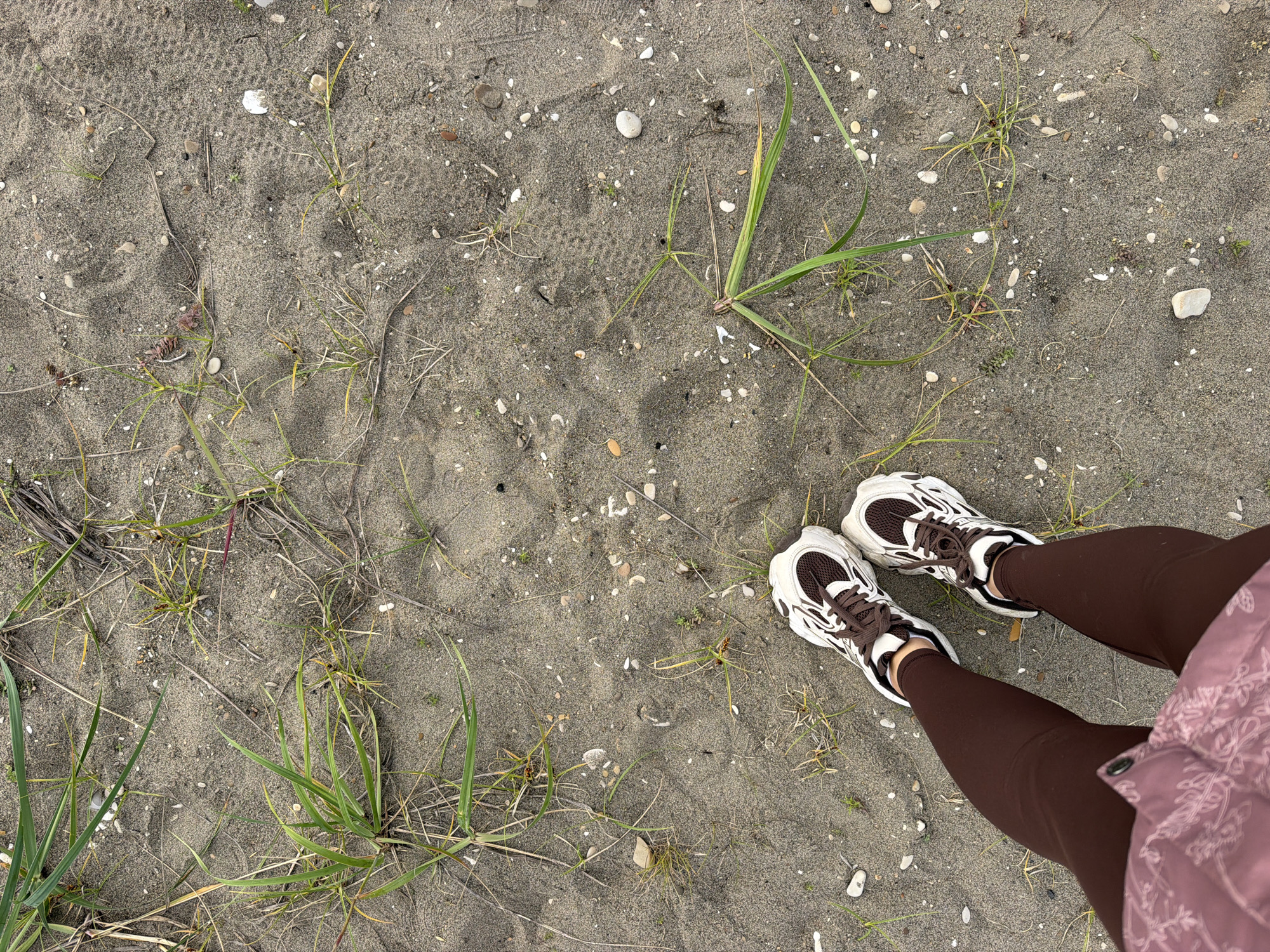 The image shows a top-down view of a person's legs and feet standing on a sandy surface covered with sparse vegetation and small pebbles. The person is wearing brown leggings and white and brown athletic shoes. The sandy ground shows some subtle footprints. The location is described as a beach in the city of Aniva, Russia. The overall environment appears to be natural and undeveloped.