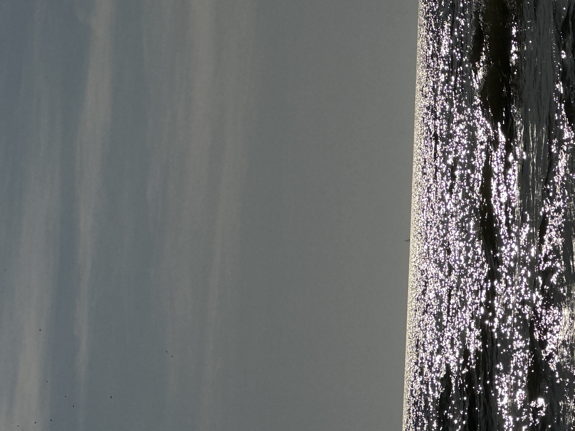 The image depicts a vast expanse of the North Sea off the coast of Zandvoort, Netherlands. The water's surface is heavily textured with sunlight, creating a dazzling, shimmering effect. The sky above is overcast with horizontal bands of lighter and darker gray clouds. In the far distance, a faint silhouette of a boat is visible on the horizon. Scattered throughout the sky are several small, dark objects that appear to be birds in flight. The scene captures a moment of natural beauty with the interplay of light and water under a cloudy sky.