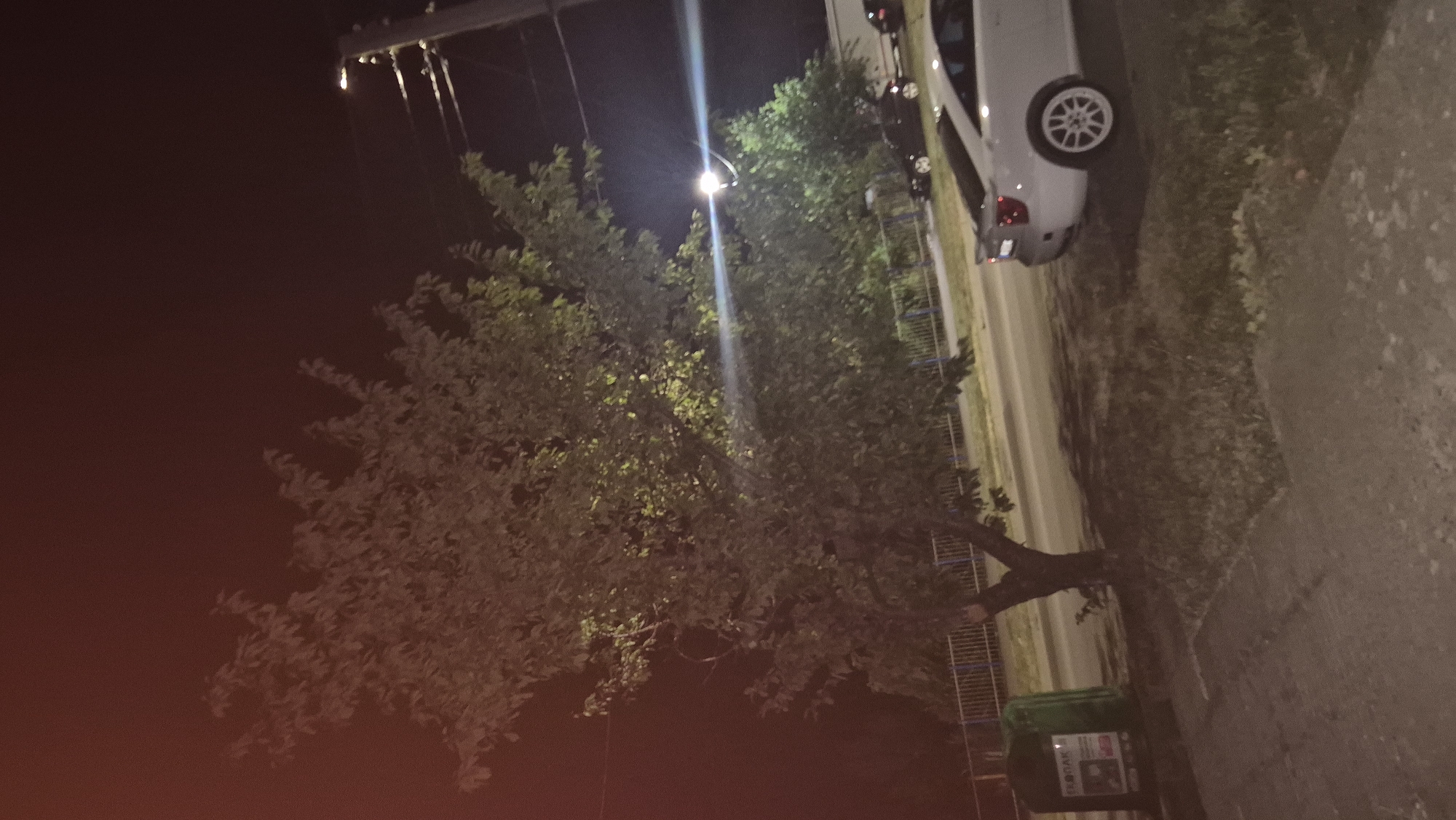 The image shows a street scene at night in Lovech, Bulgaria. A large tree with dense foliage dominates the left side of the frame. To the right of the tree, a street lamp illuminates the area, casting light on a white sedan parked on the side of the road. Several other vehicles are visible in the background, as well as a metal fence. On the far left, a green recycling bin is present. The overall environment appears to be urban.