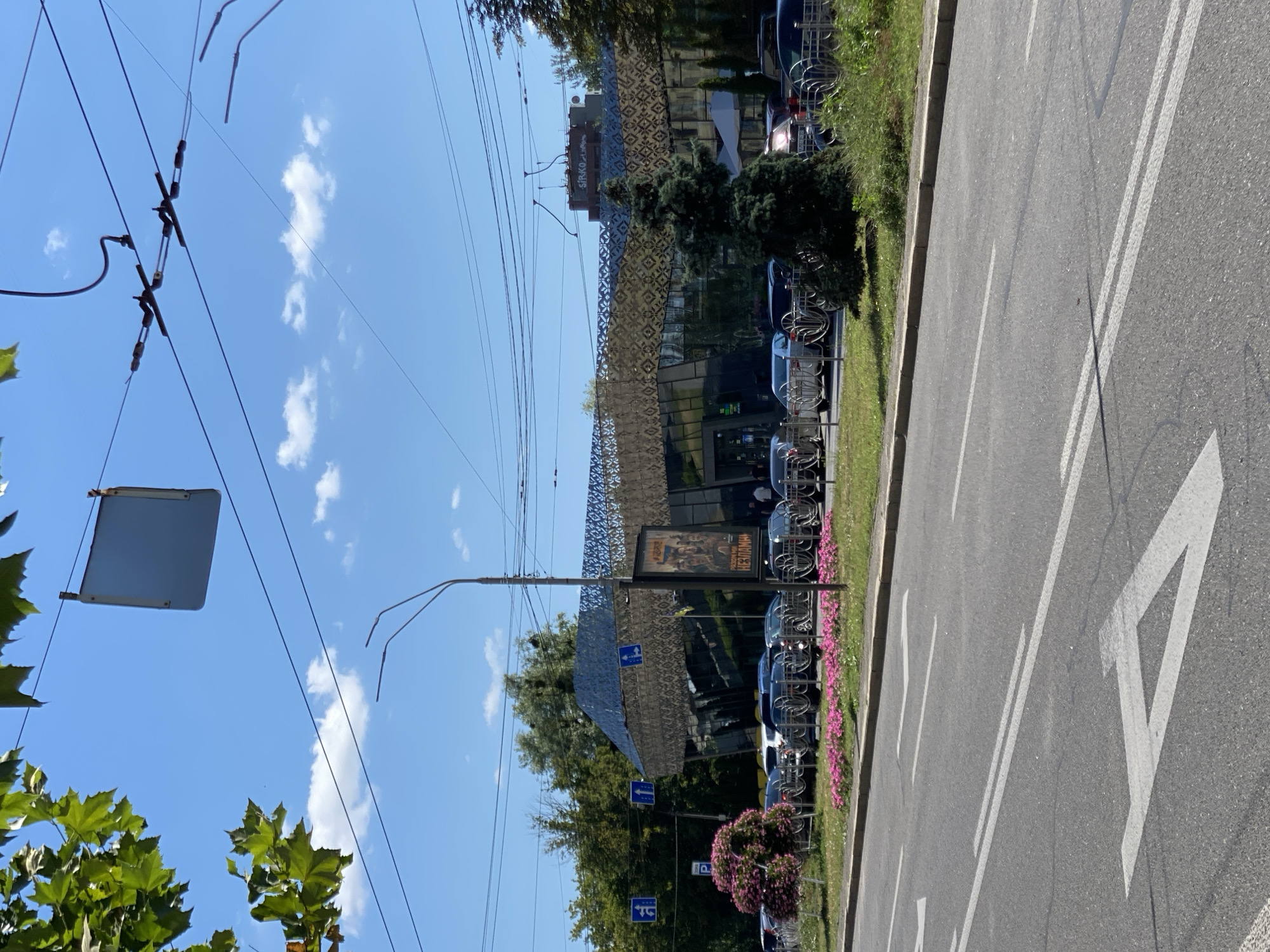 The image depicts an outdoor urban scene on a sunny day with a clear blue sky and scattered clouds. In the foreground, a wide asphalt road with white lane markings, including a prominent arrow pointing left, dominates the lower portion. Beyond the road, a grassy strip with a curb separates it from a sidewalk and a row of parked cars.
To the left of the parked cars, a vibrant pink flowering bush is in bloom. Behind the cars and the greenery, a modern building with a distinctive patterned facade and large glass windows stands. The building's roofline has an intricate geometric design. A large banner with an image of people and text is displayed on the front of the building. Adjacent to the building, a tall evergreen tree stands. Several traffic lights and overhead wires are visible, suggesting a busy intersection or street. In the upper portion of the image, tree branches with green leaves hang from the left, and a square, light-colored sign is suspended by wires. The overall scene is one of urban activity with a focus on a modern architectural structure.