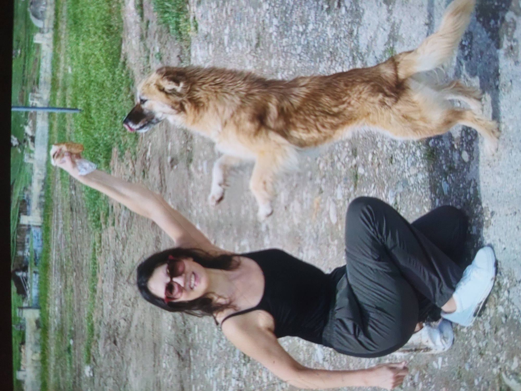 An outdoor, brightly lit image shows a woman and a dog on a dirt or gravel path, with green grass and what appears to be distant structures or ruins in the background. The scene is set in Tsarevo, Bulgaria, likely during daytime under clear weather.
The woman, with dark hair and wearing red-rimmed sunglasses, a black tank top, and dark grey or black pants with light blue and white sneakers, is lying on the ground. She is smiling broadly, looking upwards. Her left arm is extended upwards, holding out a small piece of food, possibly a bun or bread, wrapped in paper or foil.
A medium-sized, light brown and blonde dog is visible, standing or walking on the path. The dog has shaggy fur and appears to be looking towards the food in the woman's hand, with its tongue slightly visible.
The image captures an interactive and playful moment between the woman and the dog, possibly as she offers it a treat. No visible text is present in the image.