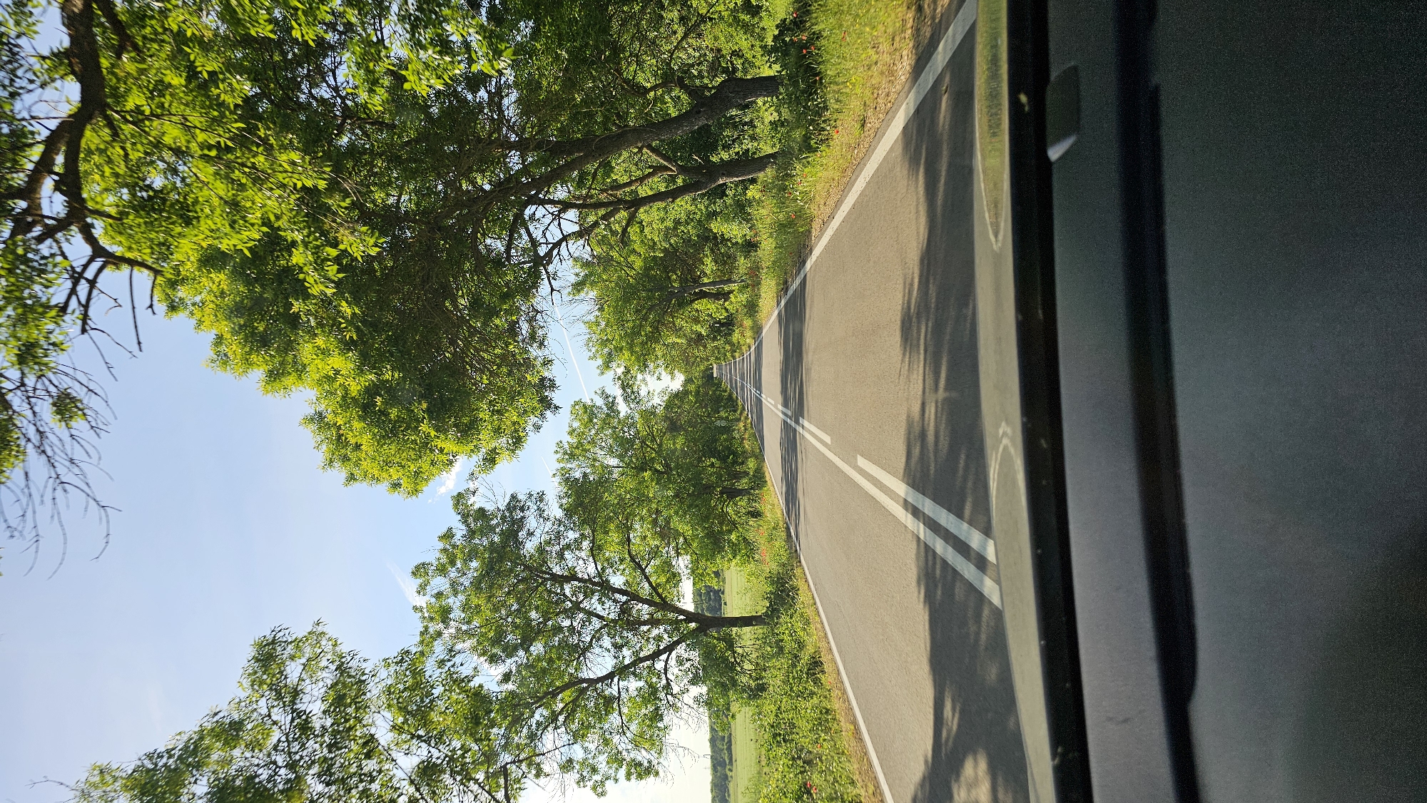 The image depicts a view from inside a vehicle, possibly a car or bus, looking out onto a paved road. The road has two white dividing lines down the center. The sides of the road are lined with trees that canopy over the road, partially obscuring the sky. The foliage appears lush and green. A section of the vehicle's interior is visible on the right side of the frame, appearing dark and somewhat blurred. The location appears to be a rural road in Gorun, Bulgaria. There is no indication of people or specific actions in the image. The overall environment suggests a sunny, possibly summer day.