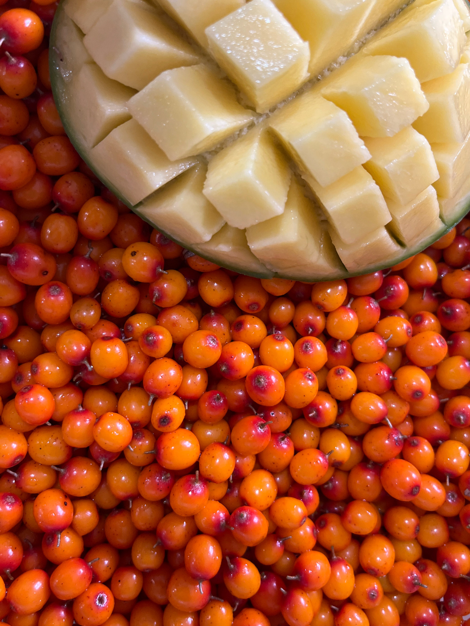 A top-down, close-up shot showcases a vibrant composition of sea buckthorn berries and diced mango. The sea buckthorn berries, a brilliant orange-red, fill the lower two-thirds of the frame, appearing plump and glossy. Their natural arrangement forms a textured carpet of fruit. Partially obscuring the top of the berries is a section of ripe mango, its flesh cut into neat, cube-like portions. The mango's pale yellow interior contrasts with the intensely colored berries, and its skin, a gradient of green and yellow, forms a curved edge on the left side. The lighting is bright and even, highlighting the textures and colors of both fruits. The image does not contain any elements that suggest a specific location in Chaikovsky, Russia, or any human presence.