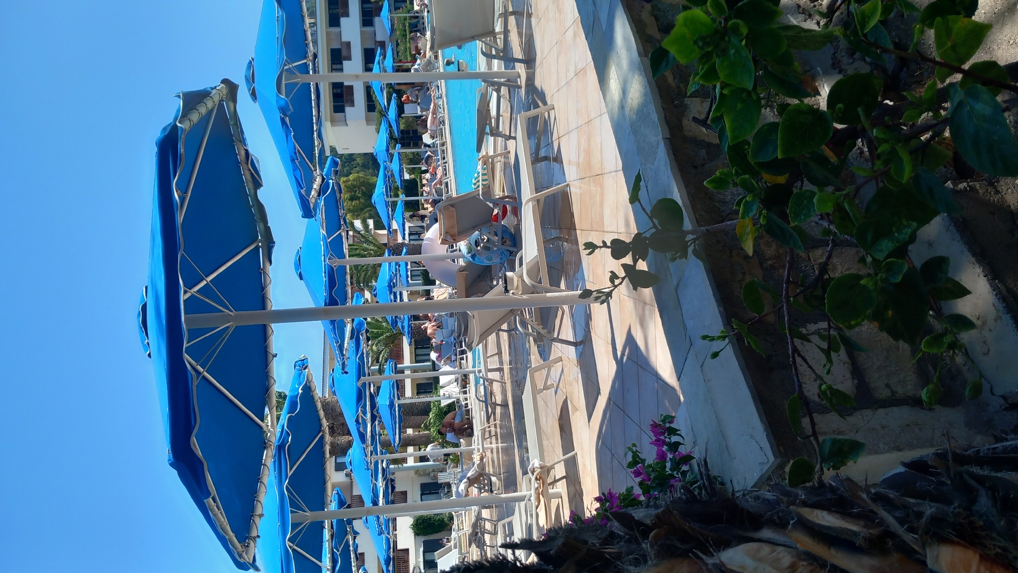 The image depicts a resort pool area in Kos, Greece, on a sunny day. Numerous blue umbrellas shade lounge chairs arranged around a turquoise swimming pool. Several people are visible lounging on chairs, some in the pool, and others walking around. In the foreground, a stone wall and lush green plants with purple flowers frame the scene. The background shows a multi-story hotel building and palm trees.