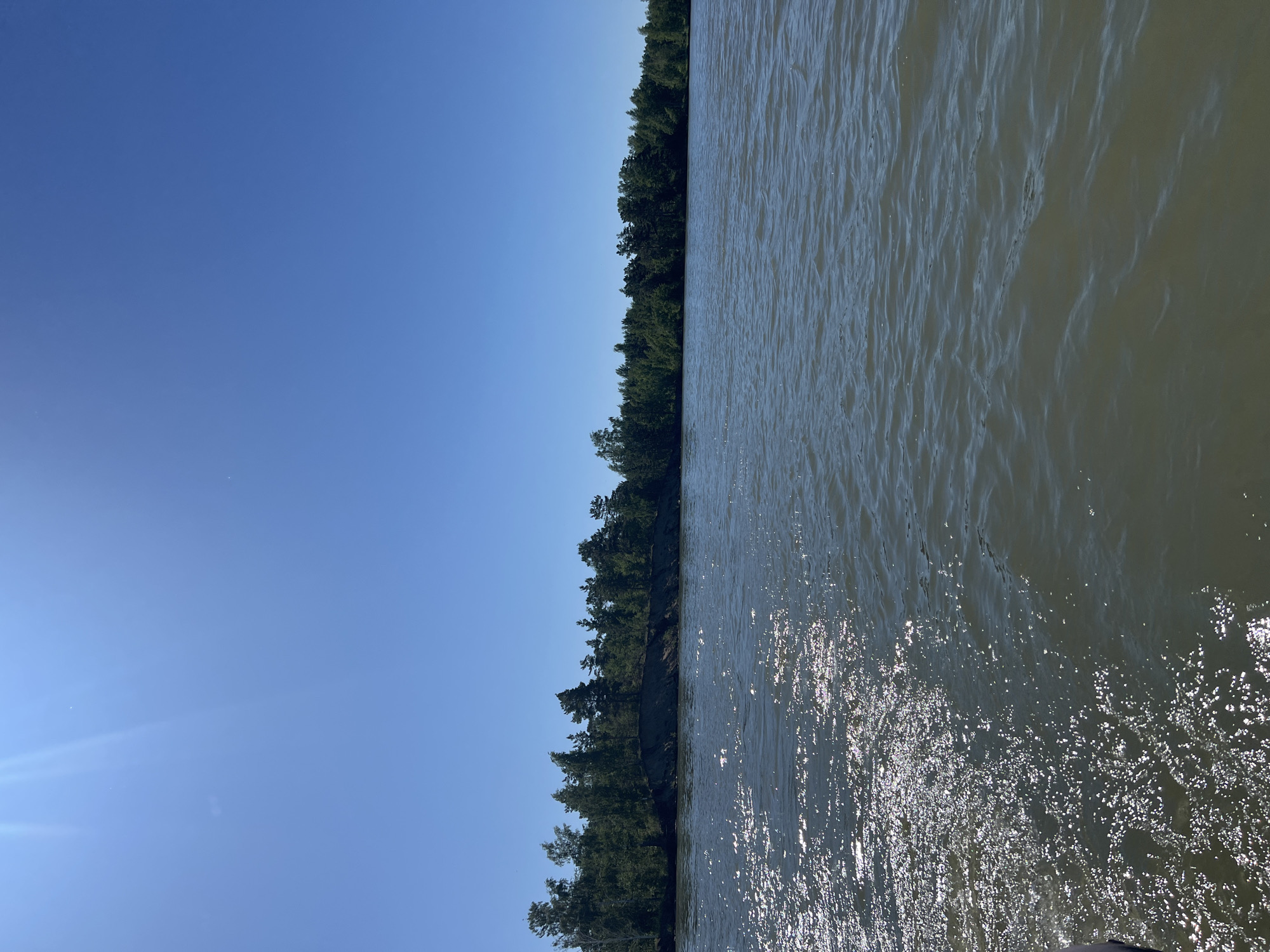 The image shows a wide, calm river with a dense forest on the opposite bank. The sky is clear and blue, with a bright sun casting a glare on the water's surface. The riverbank is lined with various types of trees, including pines and birches, and appears to be slightly eroded in places. The water itself is a muted greenish-brown, reflecting the sky and surrounding vegetation. The overall scene suggests a natural, undeveloped environment, possibly a park or a natural reserve. The location of Borovoe, Russia, is known for its picturesque lakes and forests, so this scene aligns with the typical landscape of that region.