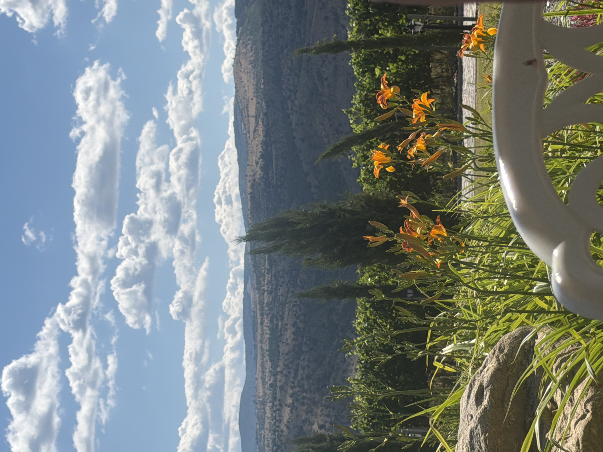 The image captures a scenic view of rolling hills and a cloudy sky, possibly from a vantage point in or near Kocherinovo, Bulgaria. In the foreground, vibrant orange daylilies bloom amidst lush green grass and a large, light-colored rock. A white chair back is partially visible in the bottom right corner, suggesting a relaxed outdoor setting. Behind the flowers, a dense green vineyard stretches across the middle ground, punctuated by tall, slender evergreen trees. The background features a series of hazy, undulating hills covered in sparse vegetation, with a bright blue sky dotted with fluffy white clouds overhead. The overall impression is one of natural beauty and tranquility.