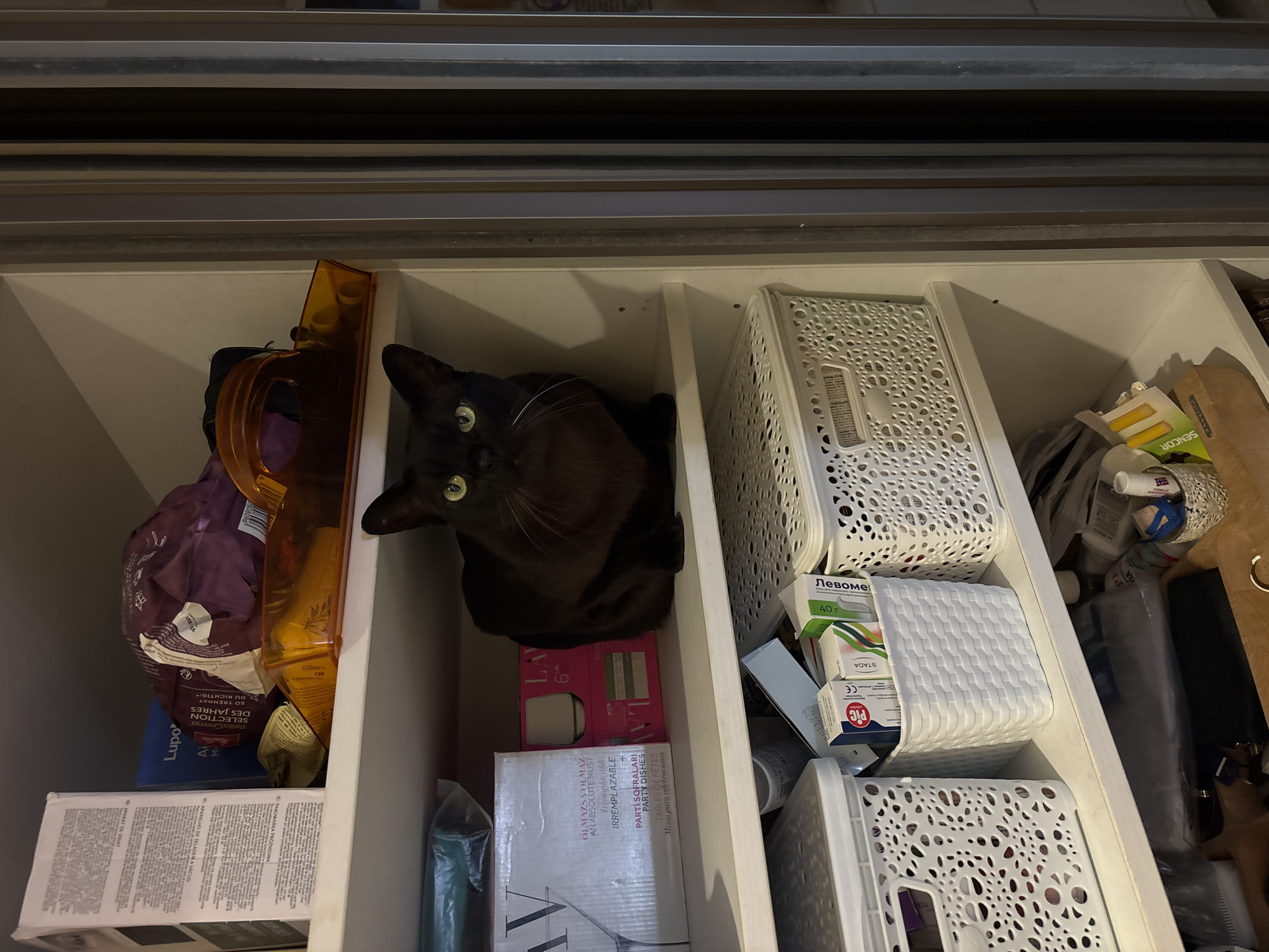 A dark-furred cat with green eyes is nestled in a white, divided storage drawer. The drawer contains various items, including boxes, plastic containers, and packaging materials. The label "SENCOR" and the words "PARTY DISHES" are visible on some of the items. The drawer appears to be located inside a kitchen cabinet. It is not possible to determine the location of Budva, Montenegro.