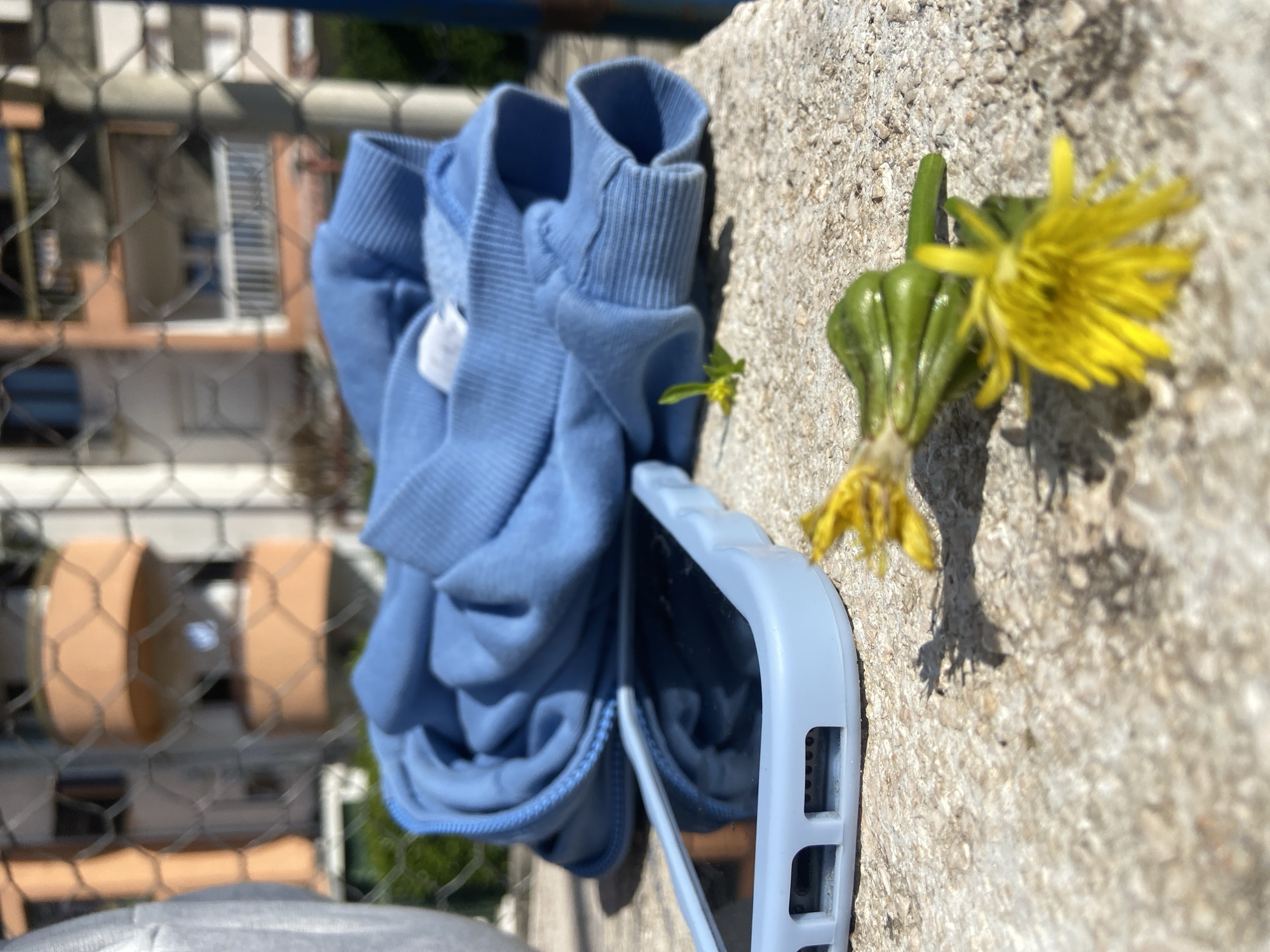 On a weathered concrete surface, a light blue hoodie and a phone in a matching light blue case are positioned next to a yellow dandelion. The hoodie is bunched up, obscuring the phone’s screen. The background shows a wire fence, beyond which are buildings of Budva, Montenegro, including an apartment with rounded balconies and a second building with white window frames. The lighting suggests a sunny day.