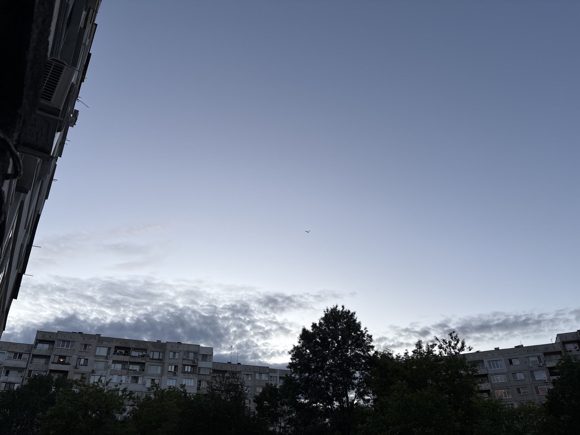 The image captures an urban twilight scene, looking up towards the sky from what appears to be a window or balcony of a building. The sky dominates the upper portion of the frame, displaying a gradient from a muted, dark blue-gray at the top to a lighter, almost ethereal blue closer to the horizon. A prominent band of textured, lumpy clouds, ranging from dark gray to soft white, stretches across the middle of the sky, suggesting an overcast but not entirely cloud-covered condition.
Below the cloud band, the silhouettes of multi-story apartment blocks typical of post-socialist architecture are visible, characteristic of locations like Sofia, Bulgaria. These buildings are constructed from concrete panels, featuring numerous windows and balconies. Many external air conditioning units are mounted on the balconies and walls, particularly on the left side of the frame. Some windows in the apartment blocks show faint, warm internal lights, indicating the approach of evening or night.
A dense line of dark green trees occupies the lower foreground, obscuring the base of the apartment blocks. A large, silhouetted tree stands out towards the center-right, its branches reaching upwards towards the sky. A small, dark bird is captured in flight against the clear sky, slightly above the cloud line and to the left of the central tree. The overall lighting is soft and diffused, characteristic of dusk or early morning, casting a calm and slightly melancholic atmosphere over the scene. No discernible text is visible in the image.