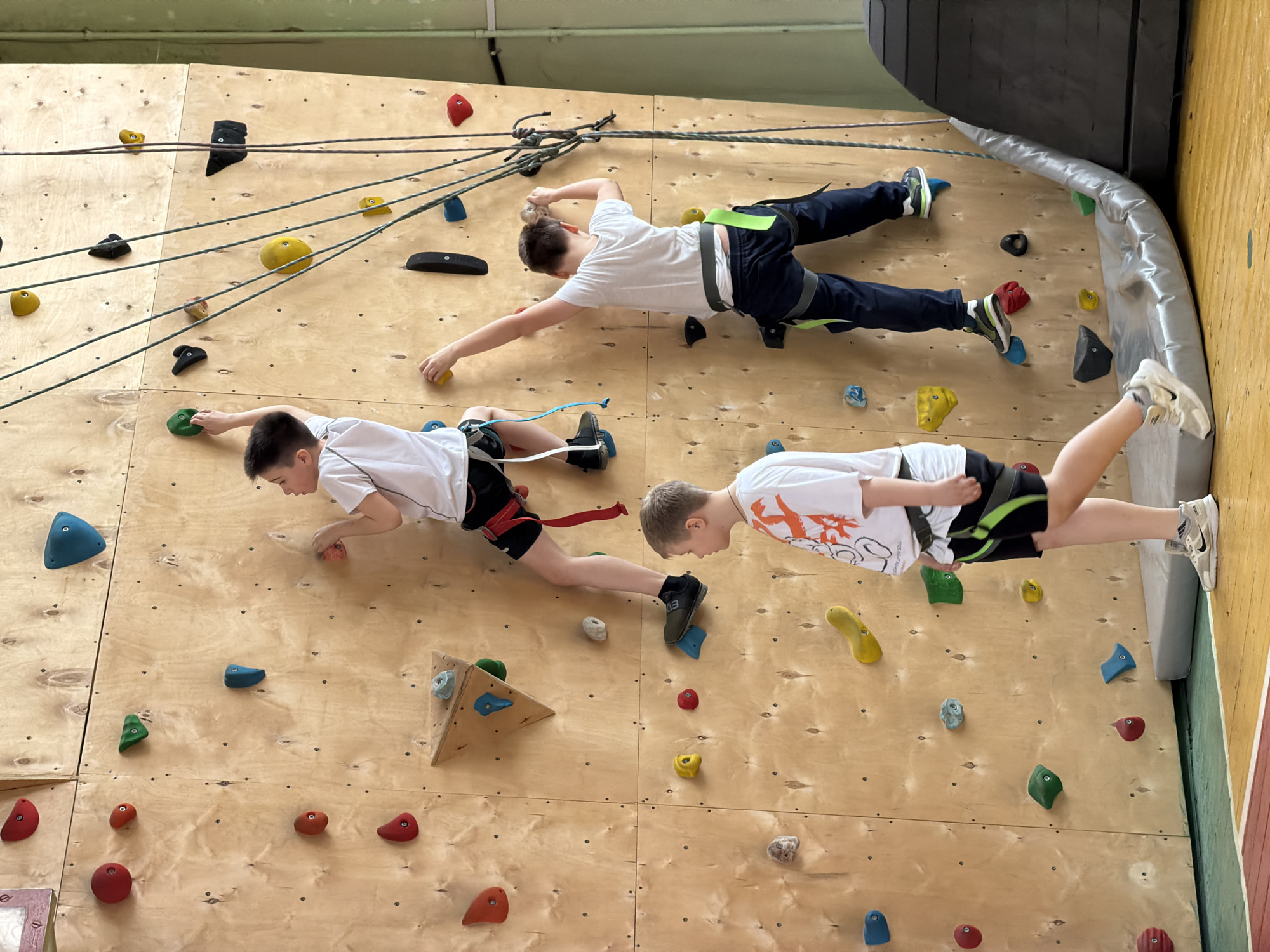 An indoor climbing wall made of light-colored plywood panels is depicted, populated by three young boys engaged in rock climbing or bouldering. The setting is likely a gymnasium or dedicated climbing facility in Izhevsk, Russia, with an industrial ceiling structure visible at the top.
The wall is covered with a variety of artificial climbing holds in different shapes and bright colors, including yellow, red, black, green, and blue. Multiple dark ropes crisscross the wall, suggesting a safety system in place for the climbers.
From top to bottom, the boys are positioned across the wall:
The topmost boy, dressed in a white t-shirt, dark pants, and a green-accented safety harness, is reaching horizontally with his left hand towards a yellow hold. His body is extended, almost parallel to the wall, as he maneuvers upwards.
Below him, the middle boy wears a white t-shirt, black shorts, and a red-accented harness. He is gripping a green hold with his right hand, maintaining a horizontal stance similar to the first boy.
The third boy, located at the bottom right, is clad in a white t-shirt with an orange and black graphic print, black shorts, and white athletic sneakers. He is moving up the wall, with his feet on various holds.
All three boys are wearing safety harnesses, suggesting a supervised or instructional climbing activity. Their posture indicates focus and physical exertion. A dark grey padded corner structure is visible along the right edge of the wall. No significant legible text is visible on their clothing or the climbing equipment.