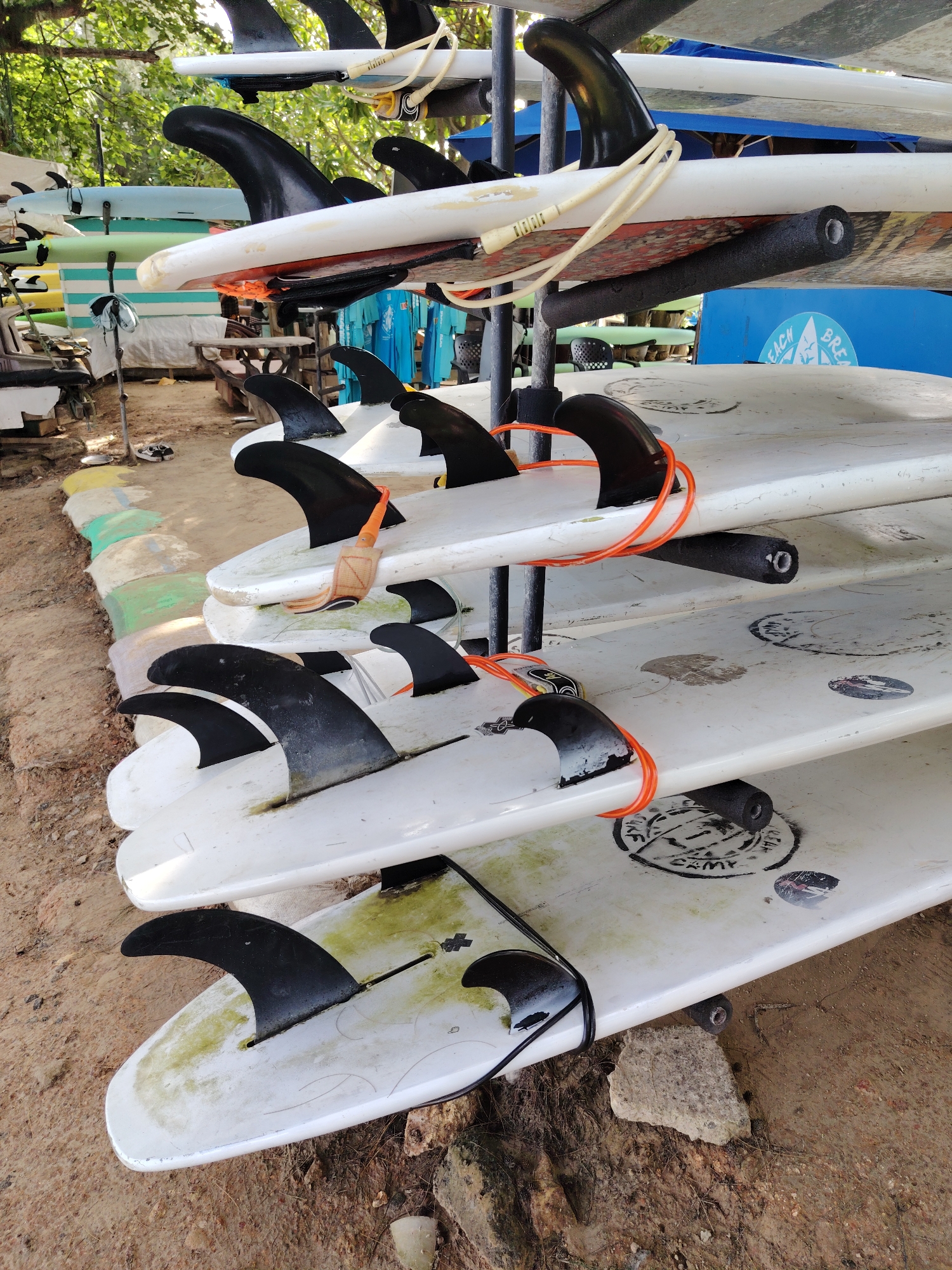 The image displays a multi-tiered outdoor surfboard storage facility. Numerous surfboards, predominantly white with black fins, are vertically stacked on dark-colored metal racks. Each rack tier features black foam padding where the boards rest. Many surfboards exhibit signs of wear, including dirt, scuff marks, and some localized green or yellowish discoloration. Leashes or cords, in orange, white, and black, are visible wrapped around the fins or attached to several boards. Distinct circular markings are present on the undersides of some boards, with one visible partial logo on a blue background reading "BEACH BREA" and another circular stamp partially visible as "CAMP."
The ground beneath the racks is composed of light brown dirt or sand, with scattered small rocks and patches of darker soil. To the left of the main racks, a low, segmented retaining wall or barrier is present, constructed from irregular blocks or mounds painted in faded shades of white, light green, and yellow. The background is dominated by dense green tree foliage, partially obscuring what appear to be small, rustic structures, tables, and blue tarpaulins or awnings. The scene is illuminated by natural daylight, casting subtle shadows. No individuals are visible in the image. This location is an outdoor surfboard storage and rental area in the city of Unknown, Unknown.