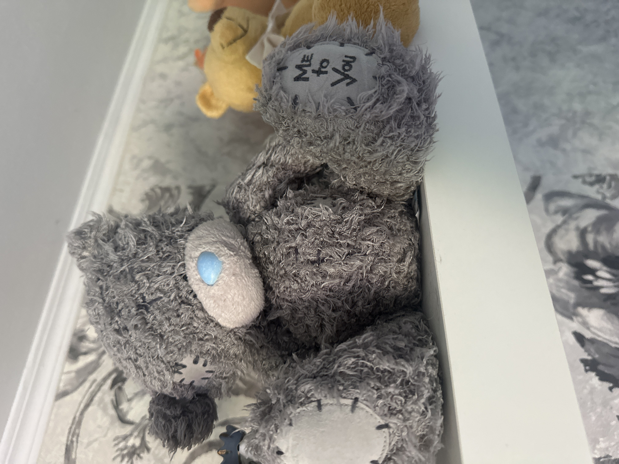 A close-up shot shows a plush teddy bear sitting on a white shelf. The bear is gray with a light gray muzzle and a blue nose. On its right paw, the words "Me to You" are embroidered in black. Behind the gray bear, a yellow teddy bear is partially visible. The background consists of a white wall with a patterned wallpaper featuring gray floral designs. The shelf is illuminated, casting a soft shadow. The image appears to be taken indoors, on a shelf in a home or store. There are no people present in the image. There is no information linking this image to the city of Maladzyechna, Belarus.