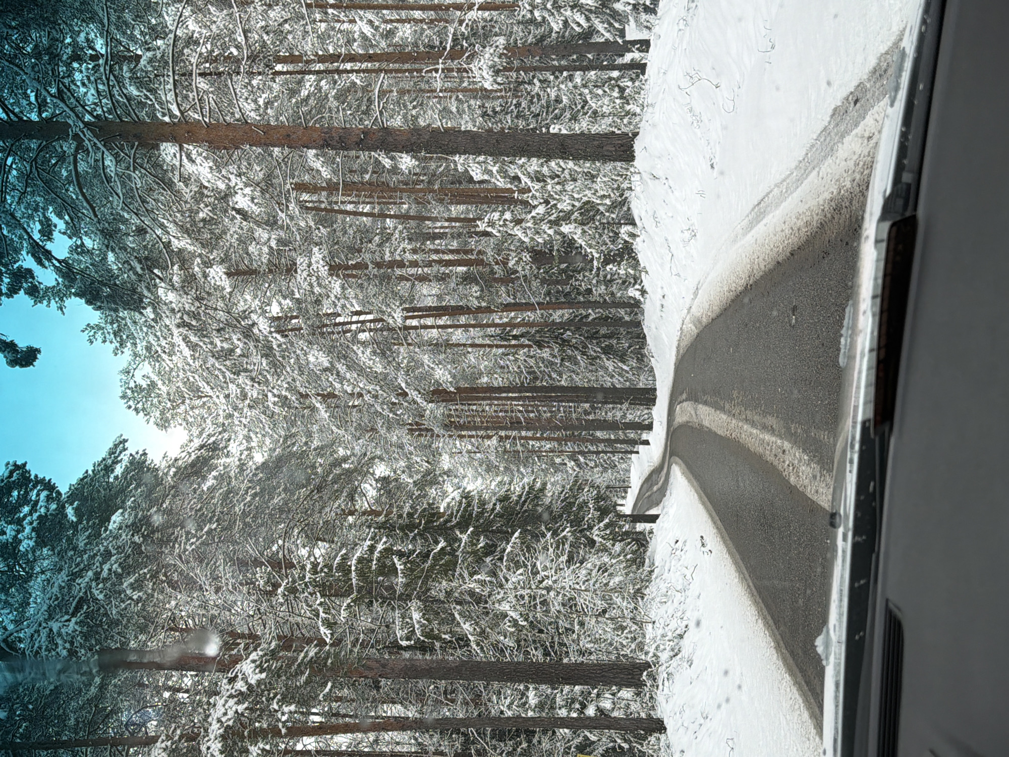The image depicts a winter scene, presumably a road in a snowy forest. The view is from inside a vehicle, showing a section of the dashboard on the right. A paved road curves through the snow-covered landscape. Tall pine trees line the road, their branches heavily laden with snow. A patch of blue sky is visible through the trees in the upper left corner. The specific location is reported as the city of Chaykovsky, Russia.