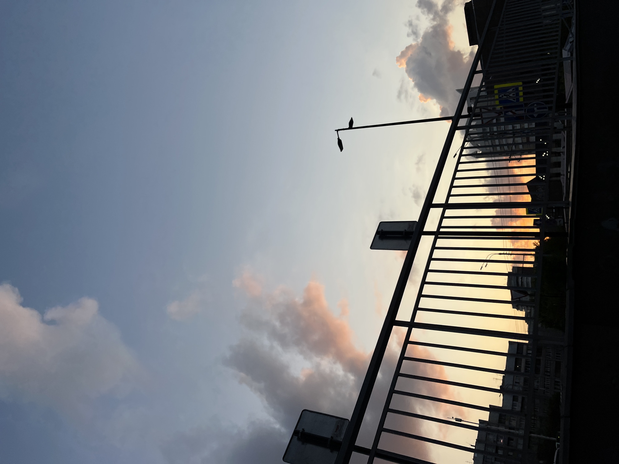 The image shows a view of the sky and cityscape at dusk, likely from an elevated position such as a pedestrian bridge. The sky is a gradient of soft blues and grays, with streaks of pink and orange clouds visible, suggesting the sun has recently set. In the foreground, a metal railing runs horizontally across the frame, partially obscuring the view of the city below. Two traffic signs, silhouetted against the sky, are mounted on posts to the left and right of the railing.
Below the railing, the outlines of buildings and streetlights are discernible. The architecture appears to be typical of a Soviet-era urban environment, with apartment blocks and other structures visible. A lamppost stands tall against the sky on the right side of the frame. Traffic signs, including a pedestrian crossing sign, are also present.
While the specific location within Krasnoyarsk, Russia, cannot be definitively determined from the image alone, the architectural style and urban setting are consistent with many parts of the city. No people are visible in the image. The overall impression is one of a quiet urban evening.