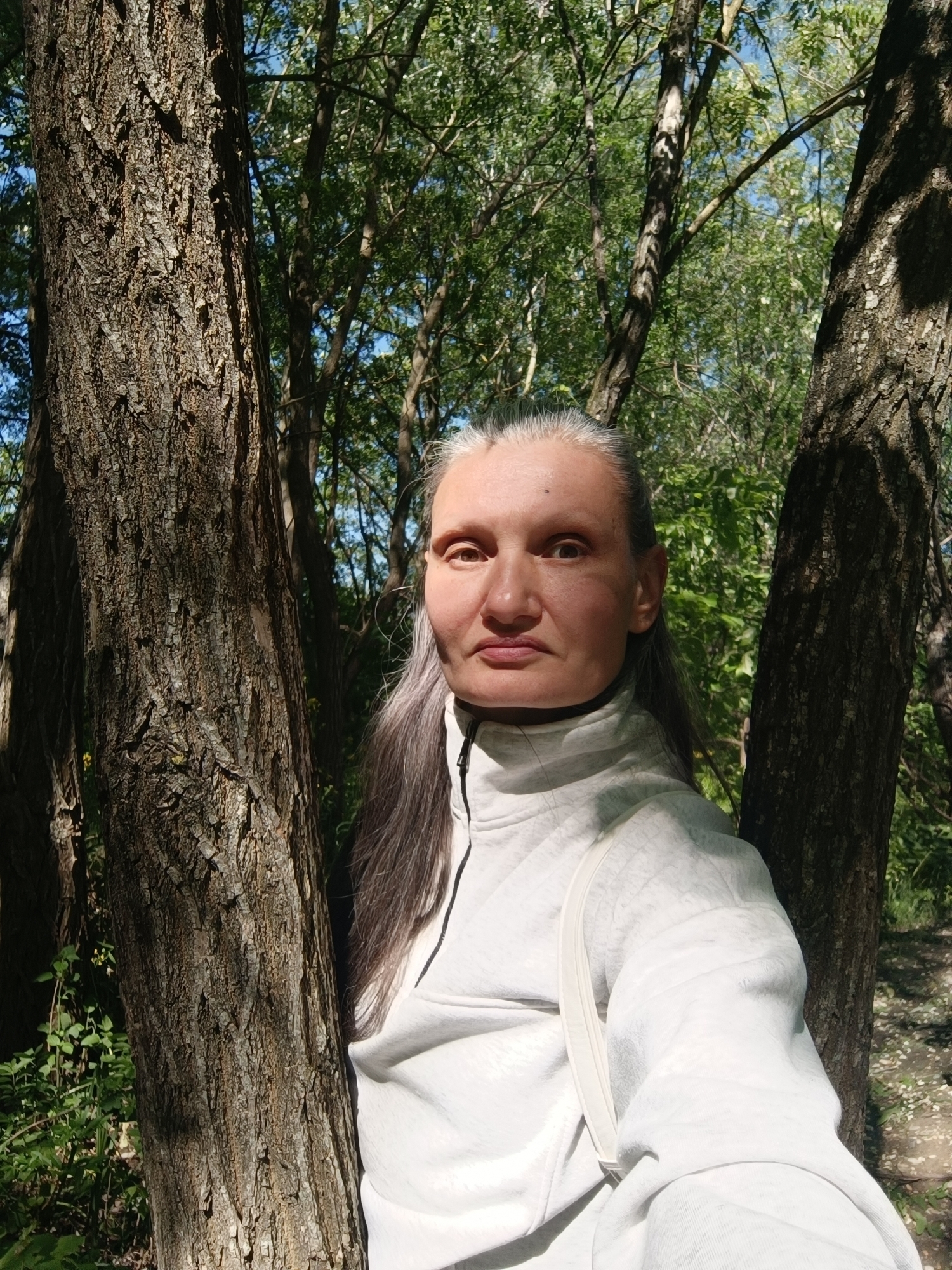 An outdoor portrait captures a woman with long, gray hair pulled back from her face, standing amidst a natural wooded environment in Goryachevodsky, Russia. She is wearing a light-colored, possibly white or very light gray, long-sleeved top with a zipper at the neck, and a light-colored strap is visible over her right shoulder. Her expression is neutral, and her gaze is directed towards the viewer.
The setting is characterized by tall, sturdy tree trunks with textured bark, prominently featured on both sides of the woman, and lush green foliage filling the background. The scene is brightly lit by natural sunlight, which casts distinct shadows on the tree trunks and partially illuminates the woman's face, suggesting a clear, sunny day, likely in the morning or late afternoon. The overall atmosphere is one of tranquility in a verdant, sun-dappled forest or park. No discernible text is visible in the image.