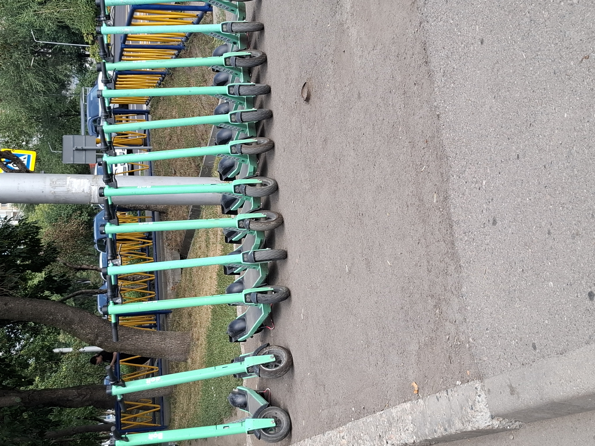 A row of parked, bright green electric scooters is lined up along a paved sidewalk in Almaty, Kazakhstan. The scooters, identifiable by their Bolt branding, are arranged neatly next to a yellow and blue metal barrier. Behind the barrier, a grassy area with trees and a road can be seen, with cars and a pedestrian visible in the background. The overall scene suggests a public urban space utilized for shared transportation.