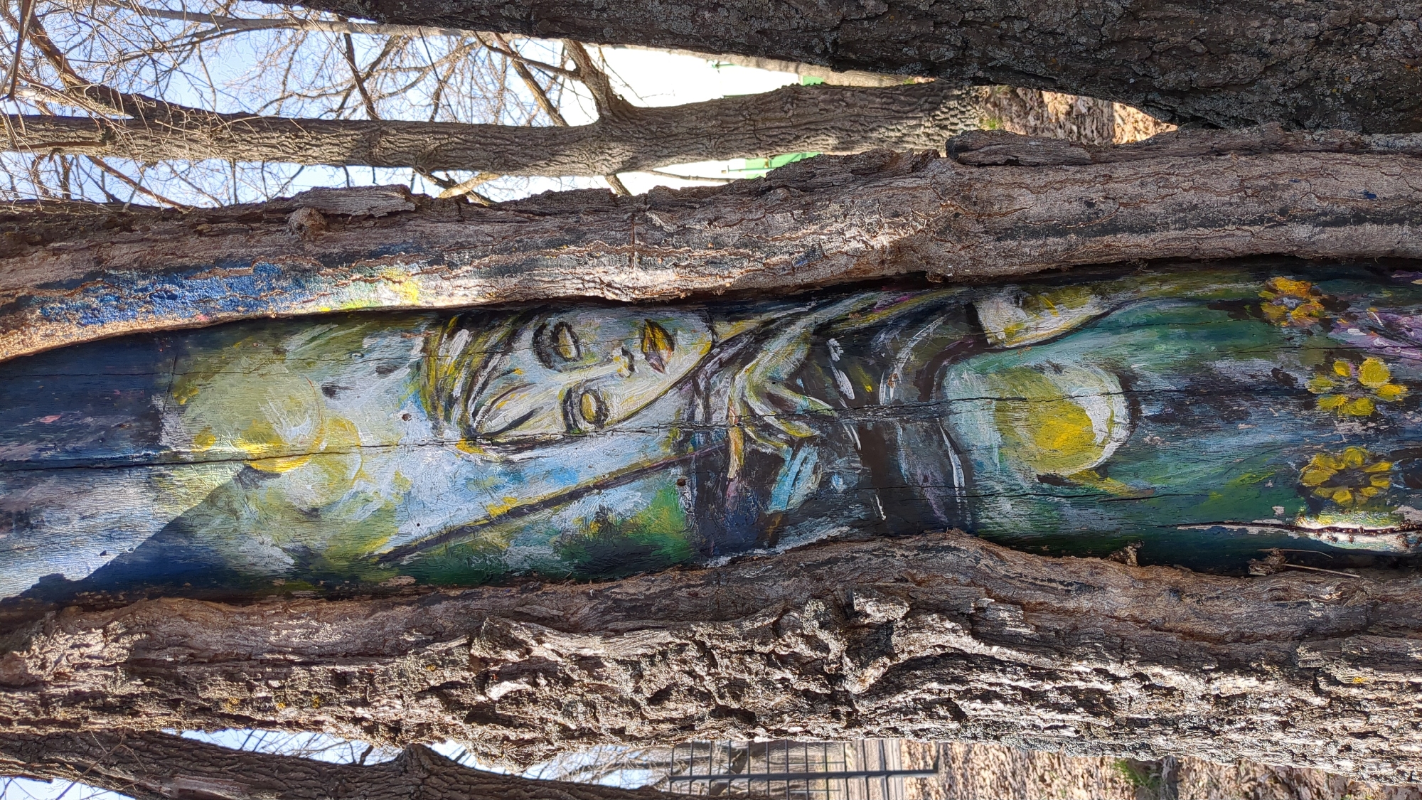 The image displays a painted wooden log or trunk, horizontally oriented and framed by rough tree bark above and below it. The central focus is a vibrant painting executed directly onto the wood.
The artwork depicts a stylized female face with light-colored, possibly blonde, hair flowing to the right. Her eyes are closed or looking upwards, conveying a serene or contemplative expression. The color palette primarily includes blues, greens, yellows, and white, with dark accents, giving the painting an ethereal or dreamy quality. To the right of the face, there are prominent circular yellow shapes, possibly representing the sun or moon, and abstract yellow flower-like forms. The brushstrokes are visible, indicating an expressive painting style.
The painted log is nestled between two other pieces of wood or branches with deeply textured, rough bark, which visually frame the artwork. In the background, through the gaps between the branches, a clear, light blue sky is visible. Distant bare tree branches and possibly a metal fence or structure can be seen further back.
The scene takes place during the daytime, under clear, sunny weather, as indicated by the bright lighting and shadows. The bare branches suggest it could be late autumn, winter, or early spring in Ulyanovsk, Russia, the provided location context. There is no visible text in the image.