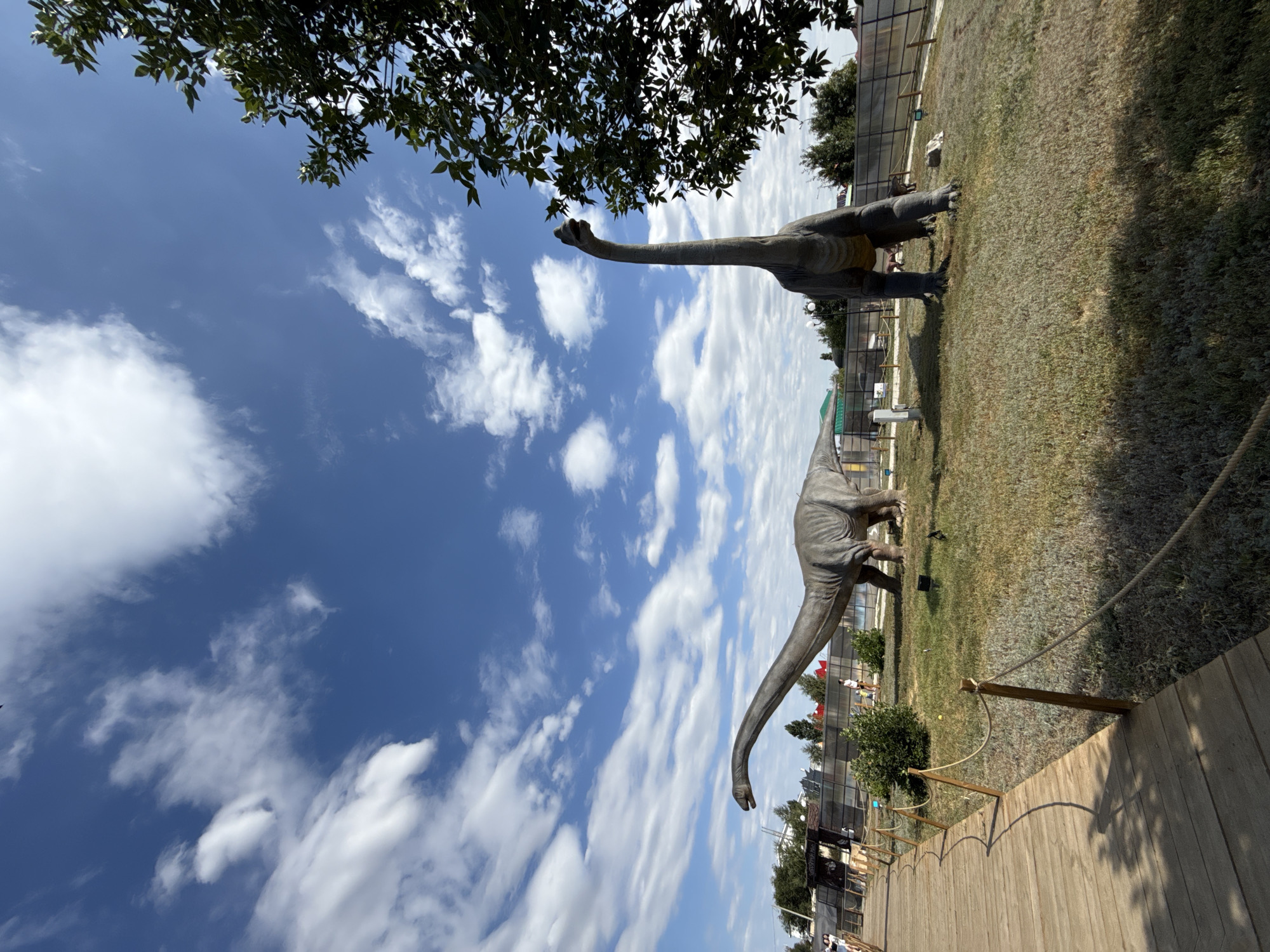Two large dinosaur models, likely Brontosauruses, are displayed in an outdoor exhibit. One dinosaur is in the foreground on the right, facing left with its head raised high, and the other is in the mid-ground on the left, facing right with its head extended. They are situated in a grassy area surrounded by a fence. A wooden walkway is visible in the foreground on the left, leading into the exhibit. In the background, there are some structures and trees. The sky is blue with scattered white clouds. The scene is illuminated by daylight. This location is identified as being in the city of Sol-Iletsk, Russia.