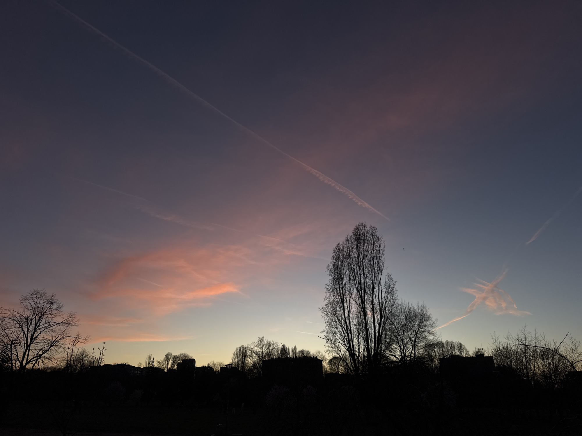 The image depicts a cityscape at dusk or dawn, likely located in an urban area. The sky is a mix of purple, pink, and blue hues, with visible contrails from airplanes. The lower portion of the image is dominated by the silhouetted outlines of trees and buildings. The silhouettes suggest a mix of deciduous trees with bare branches and potentially some evergreen trees. The buildings are indistinct, appearing as dark, geometric shapes along the horizon. There are no people visible in the image. The overall scene conveys a sense of tranquility and the transition between day and night.