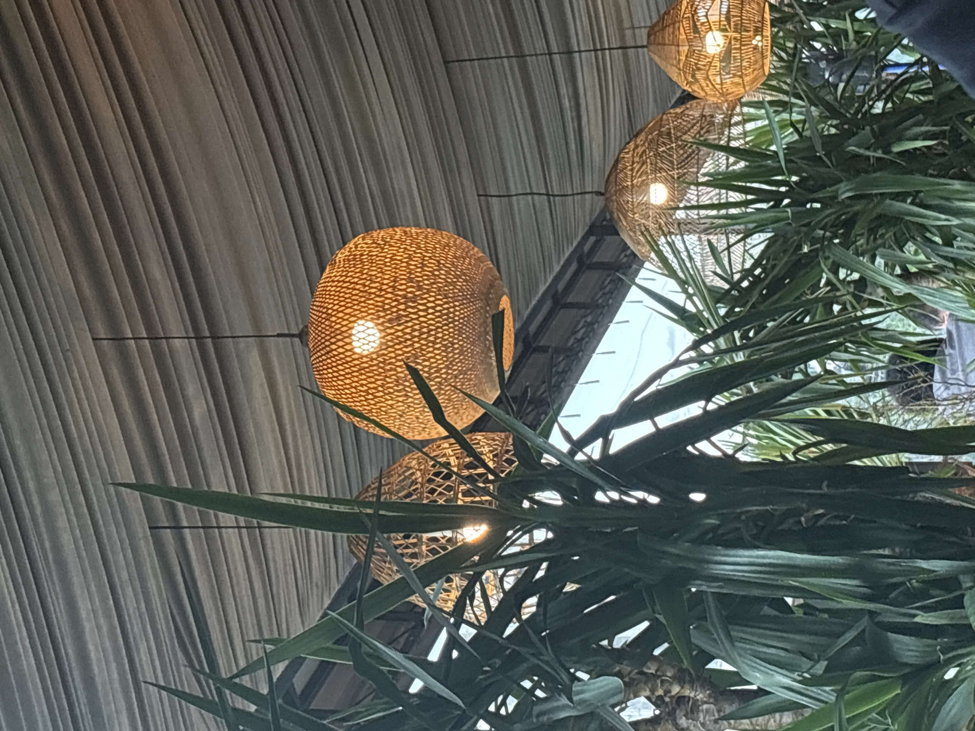 The image depicts an interior scene, possibly a restaurant or cafe, featuring hanging woven lamps amidst lush green foliage. A textured ceiling or wall covering drapes in the background. The perspective is angled upward, emphasizing the lamps and the surrounding greenery. The lighting suggests an artificial source from within the lamps, casting a warm glow. The precise location within Yerevan, Armenia, cannot be determined from the visual information provided. No people are visible in the frame.