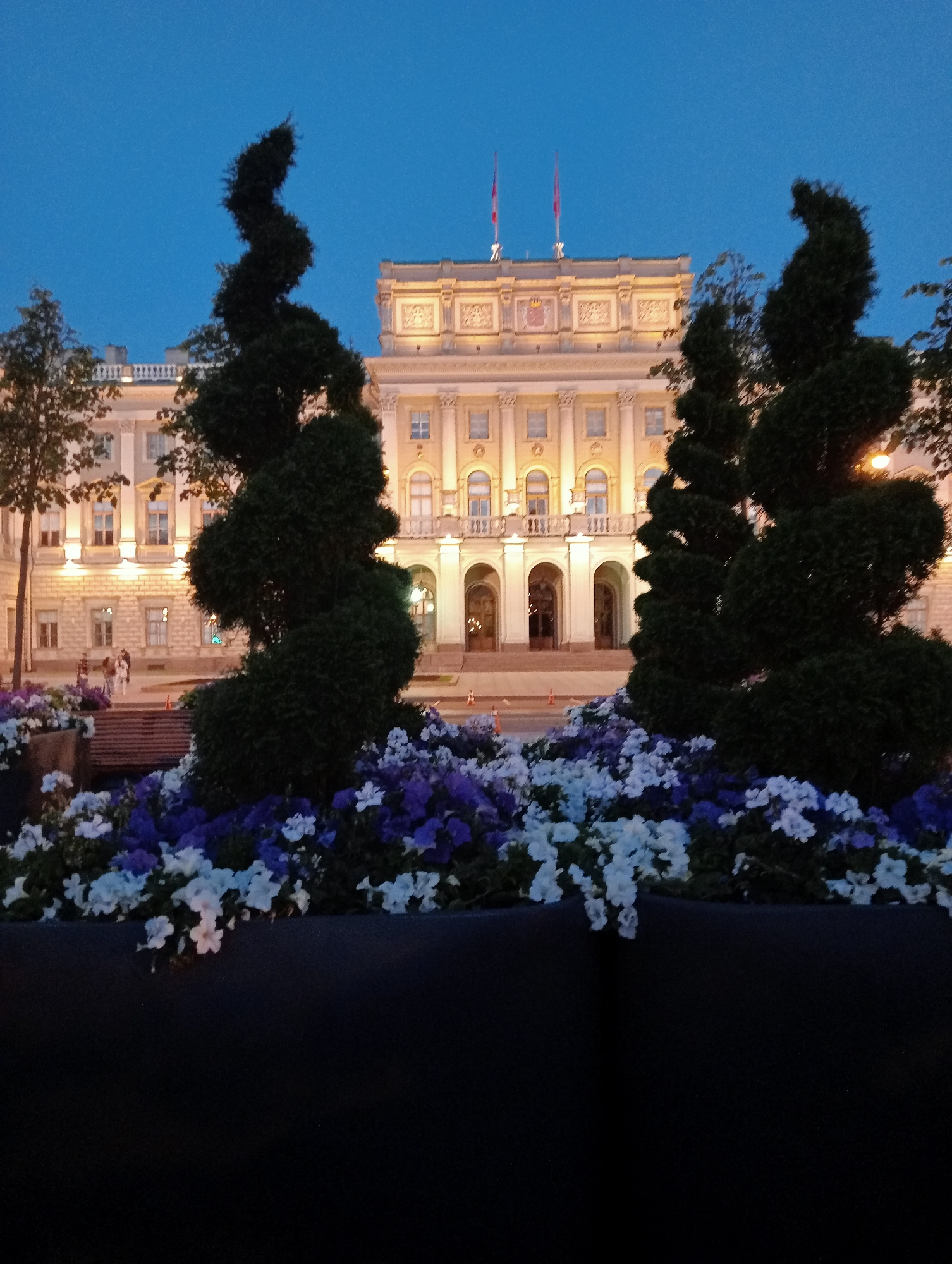 The image captures a twilight scene in Saint Petersburg, Russia, likely in front of the General Staff Building on Palace Square. In the foreground, a large, dark planter overflows with an abundance of blooming petunias in shades of white and deep violet. Behind the flowers, a spirally pruned evergreen tree stands prominently, its dark silhouette contrasting with the softly lit building in the background. Further to the right, another similar tree is partially visible.
The building itself is a grand, cream-colored structure with classical architectural elements. Numerous windows, some with arched tops, are visible along its facade, and many are illuminated from within, casting a warm glow. A prominent balcony with railings runs across the upper level. Two red flags are mounted on poles atop the building, fluttering gently. The sky above is a deep, clear blue, indicating either early morning or late evening twilight.
In the mid-ground, a few individuals can be seen walking. They appear to be dressed casually and are spread out, suggesting a relaxed atmosphere. A wooden bench is situated between the flower planter and the building, though no one is currently sitting on it. Orange traffic cones are placed intermittently on the ground in front of the building. The overall impression is one of serene urban beauty, with the architecture and natural elements harmonizing under the soft evening light.