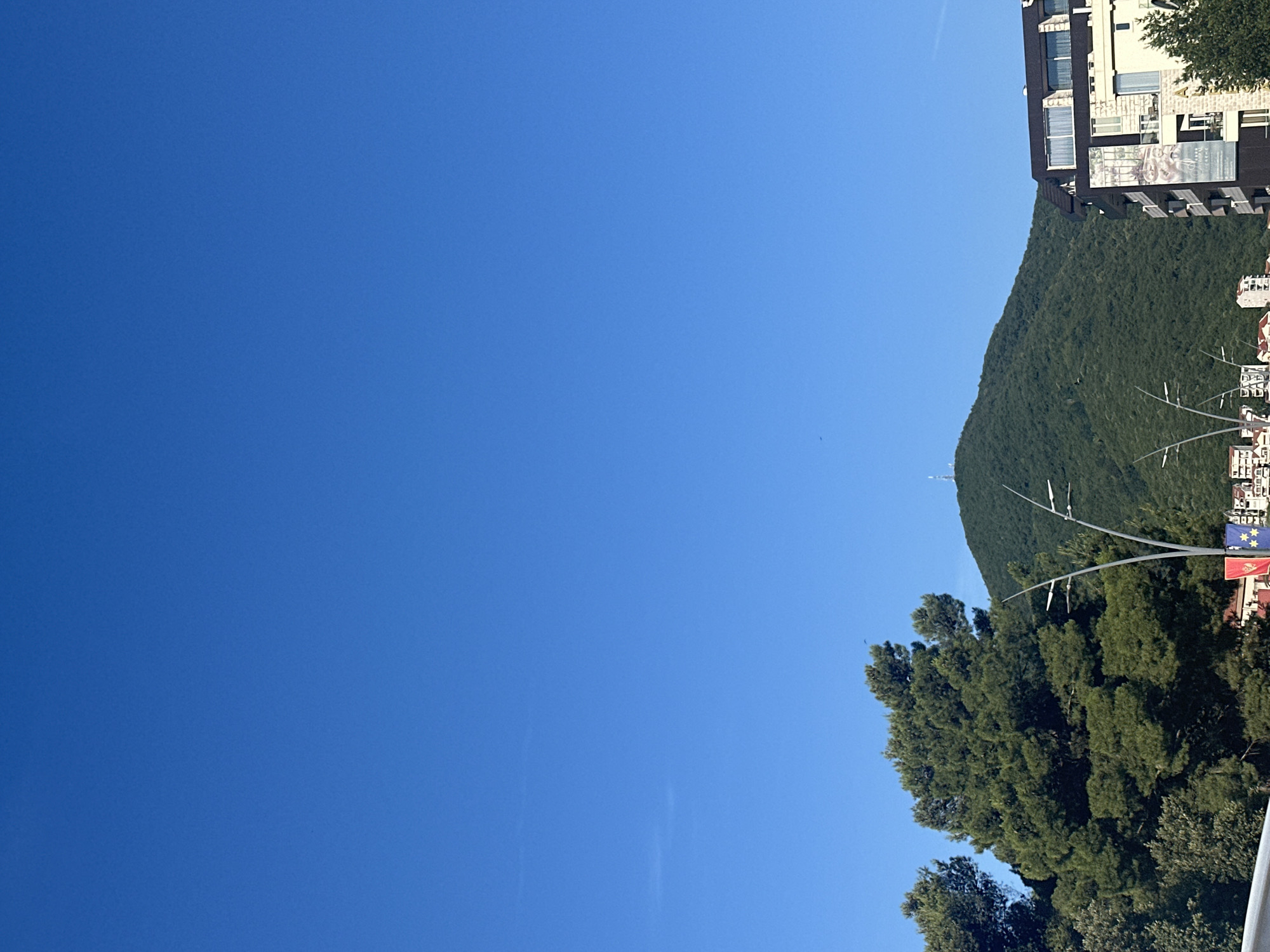 The image displays an outdoor scene in Budva, Montenegro, under a clear, bright blue sky. A large, densely forested mountain occupies the central background, its slopes covered in dark green trees. A communication tower or antenna structure is visible near the mountain's peak.
In the midground, to the left, a cluster of large, mature evergreen trees with dense, dark green foliage is prominent. Two modern, multi-headed streetlights with a branched design extend upwards from the lower-mid section of the frame, positioned in front of the mountain and smaller buildings. Below these streetlights, two flags are visible: one red with a golden emblem (Montenegrin flag) and one blue with yellow stars (European Union flag).
On the right side of the image, a multi-story building features a combination of light-colored stone or concrete cladding and darker, possibly black, panels. It has multiple balconies with glass railings and numerous windows, some fitted with white blinds or curtains. A large commercial banner with a botanical illustration and text, including "PREMIUM RESIDENCES," is affixed to its side. The roof of this building appears dark-tiled.
In the lower midground, behind the streetlights and flags, several smaller, light-colored buildings with red or orange roofs are partially visible. No individuals or specific actions are discernible. Two faint, dark specks, possibly distant birds, are observable in the upper sky.