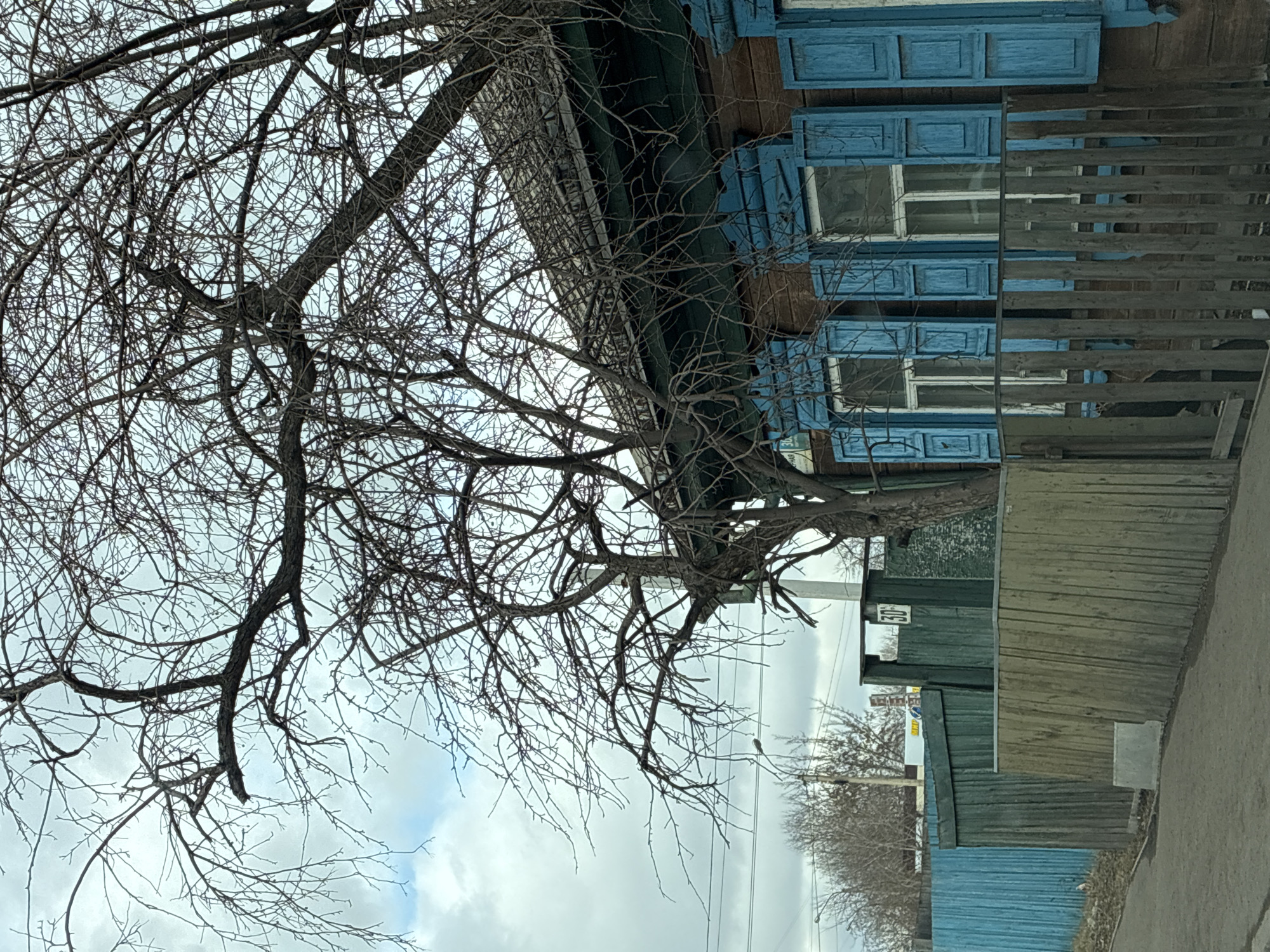 The image shows a street scene in an unknown city. The sky is overcast with some blue patches visible. Dominating the left side of the image is a large bare tree with many branches. To the right of the tree is a building with blue shuttered windows. A wooden fence runs alongside the building. Further down the street are more fences, also made of wood, painted in shades of green and blue. A street sign with the number "30" is visible on one of the fences. Beyond the fences, there are more trees without leaves, and in the distance, some buildings are faintly discernible. The street itself is visible in the foreground.