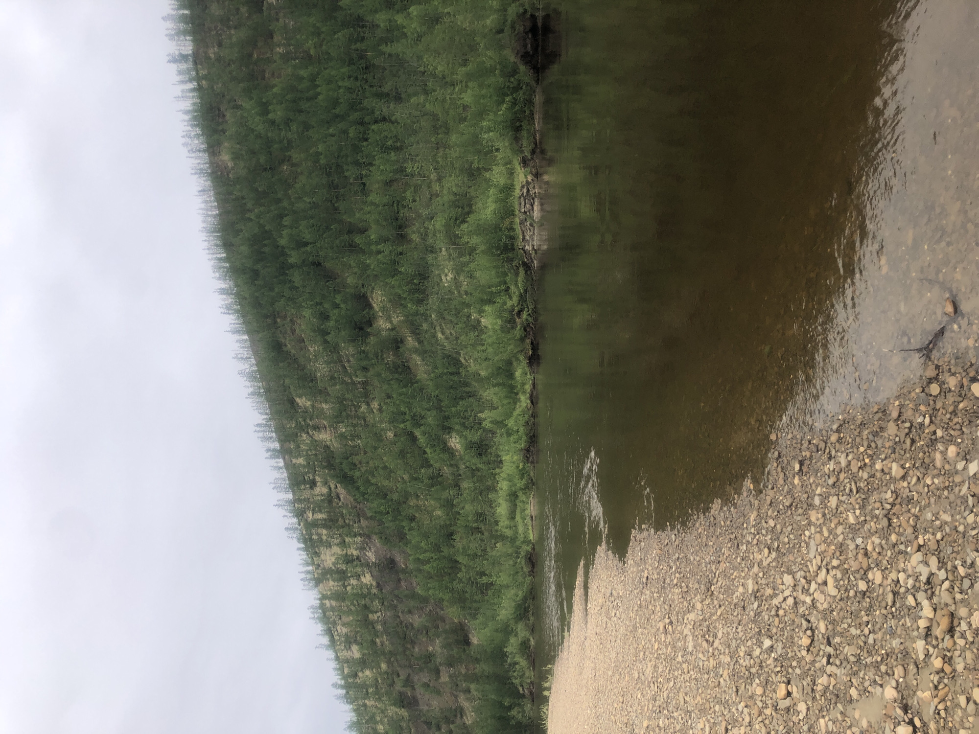 The image captures a natural landscape in an unspecified location within Russia, likely in a remote or northern region. A wide, dark-water river flows from right to left in the foreground. The riverbank on the left is composed of light-colored gravel and pebbles, with some of the stones submerged in shallow water. On the opposite bank, a steep, forested hill rises. The hill is densely covered with evergreen trees, appearing as a uniform green carpet. Towards the top of the hill, the trees become sparser, revealing patches of lighter ground. The sky is overcast with a uniform, light gray color, suggesting a cloudy or misty day. There are no people or signs of human habitation visible in the image.