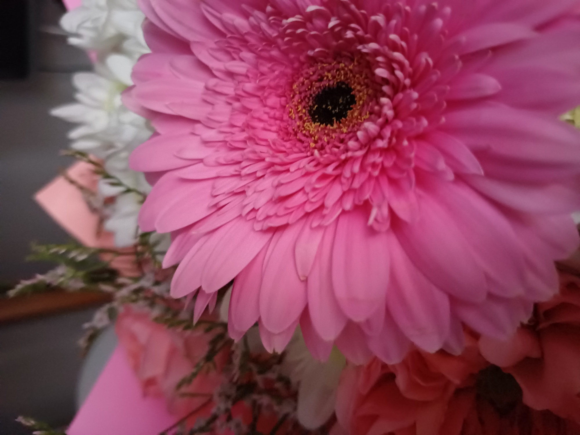 A close-up, low-angle, indoor photograph focuses on a vibrant pink Gerbera daisy. The daisy's petals are sharply detailed, radiating outwards from a dark, textured center. To the left of the Gerbera, a blurred bouquet is visible, containing hints of other pink and white flowers, as well as delicate green foliage. The background is out of focus, suggesting an indoor setting with soft lighting. The image does not provide any information about a specific location within a city.